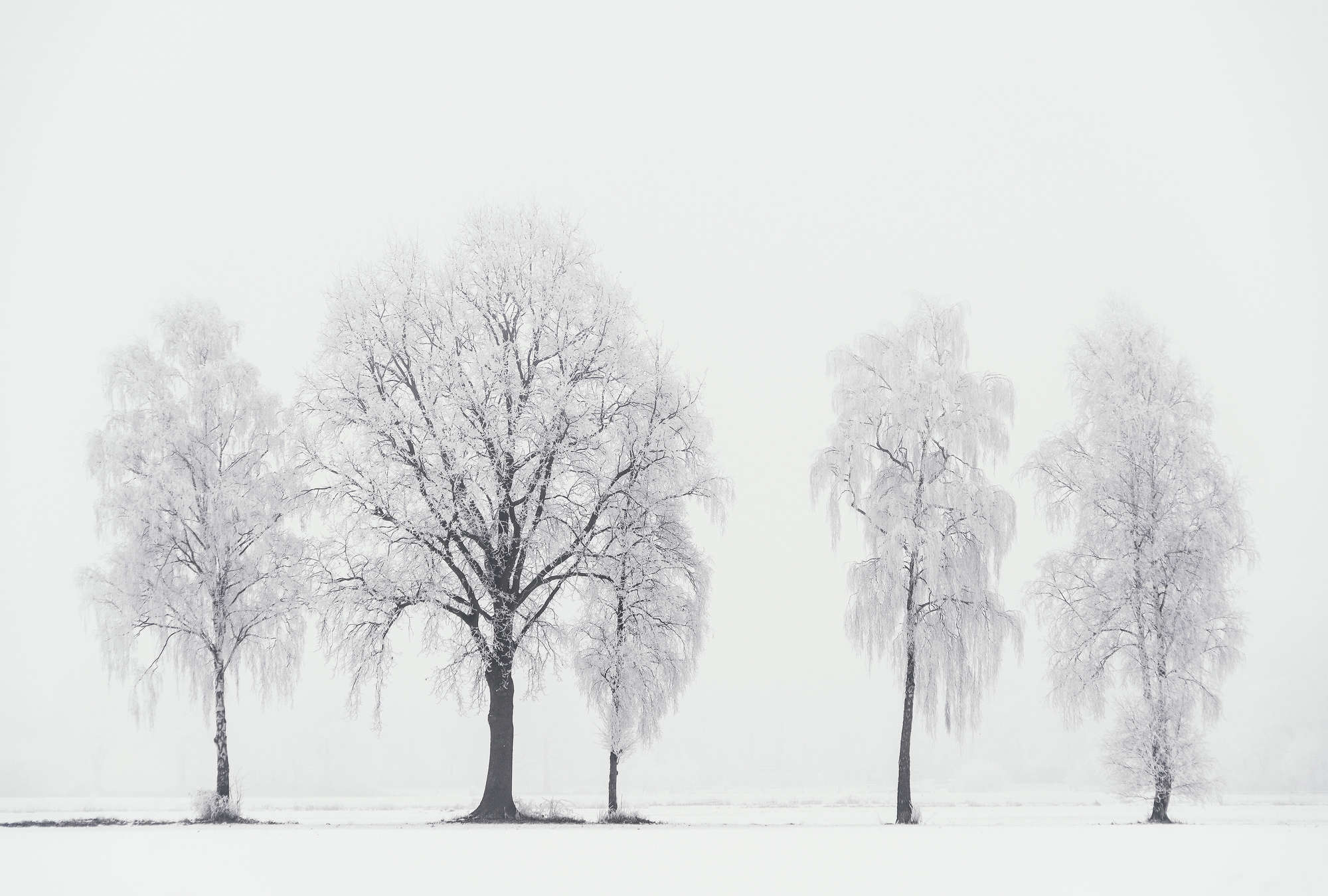             Architects Paper Fototapete AP Digital 4
        