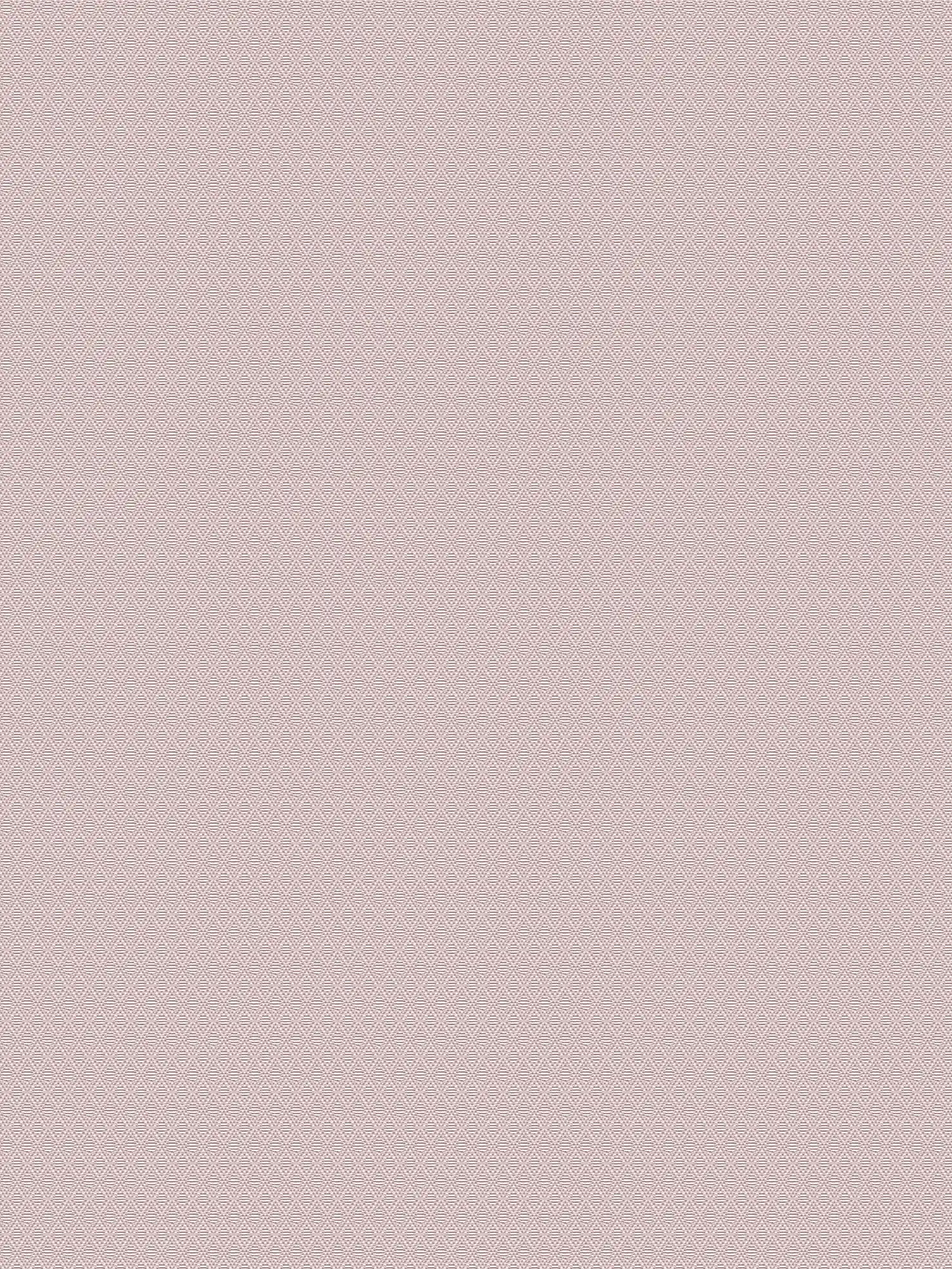         Matt plain wallpaper with fine texture pattern - brown
    