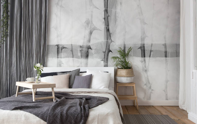 Drinnen, Innenarchitektur, Inneneinrichtung, Kissen, Pflanze