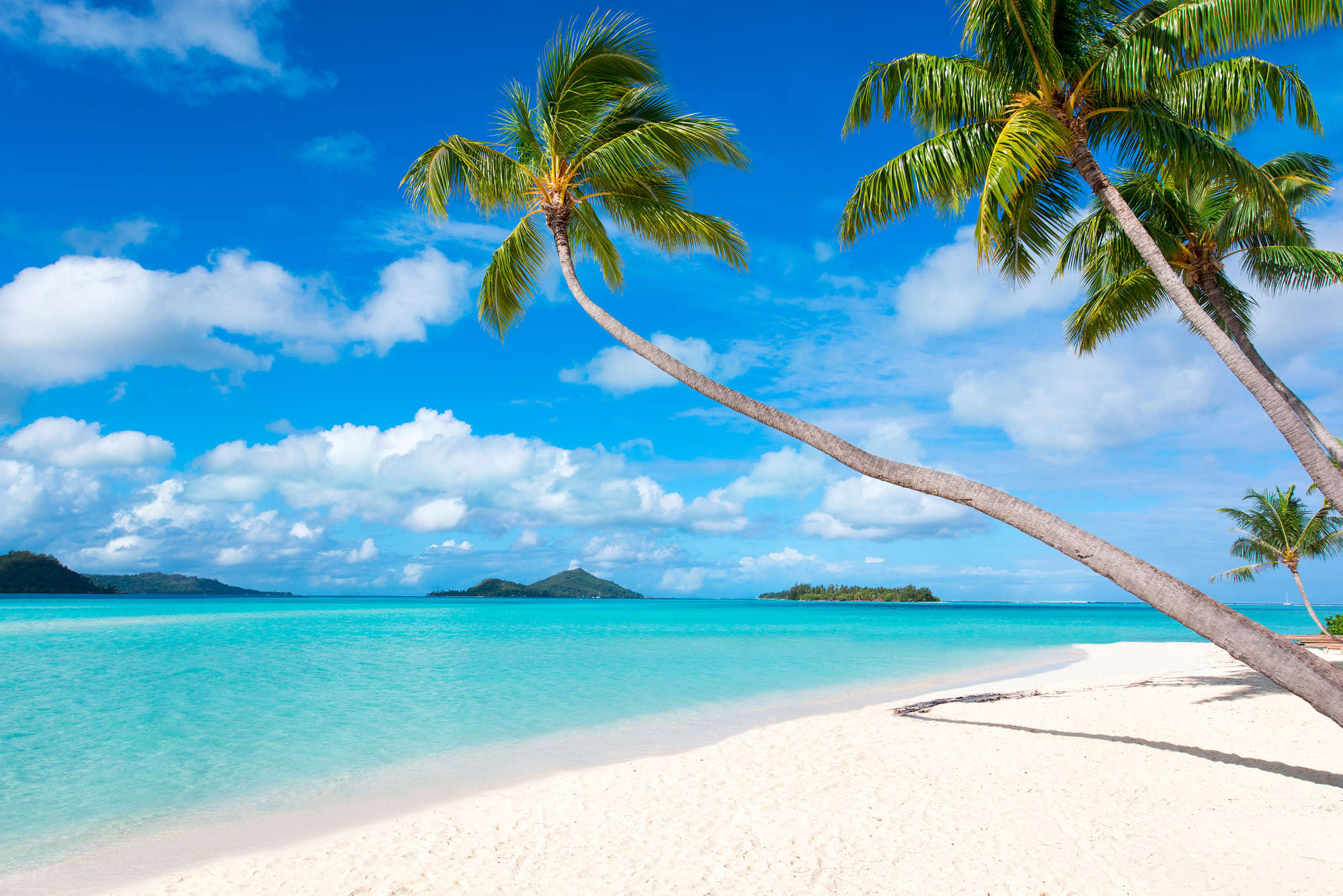 strand, palme, palmenstrand, tropenparadies, klarer-gewässer
