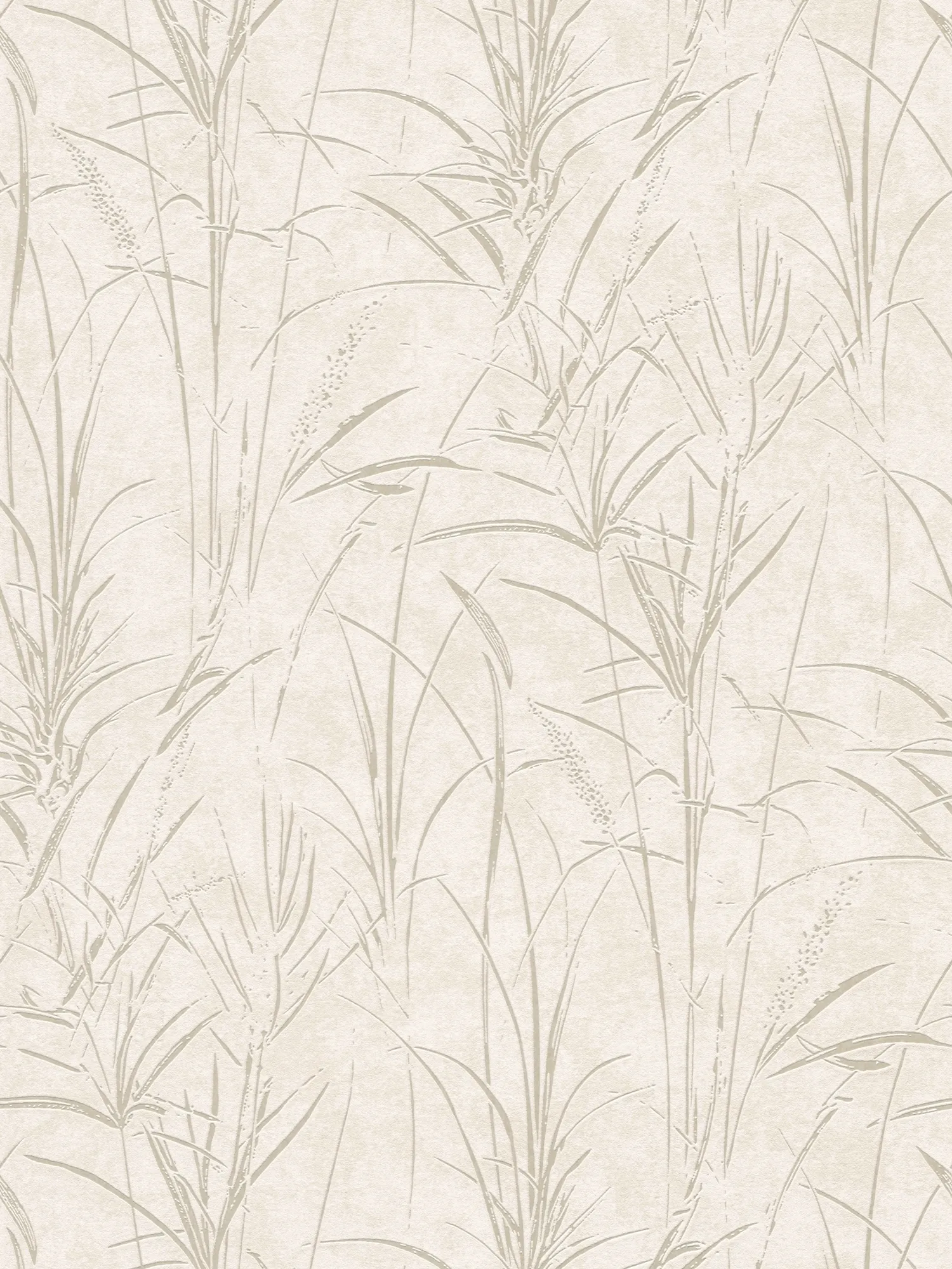 Gräser Design Vliestapete mit ruhigem Hintergrund und sanft glänzenden Gräserlinien – Creme, Creme, Weiß