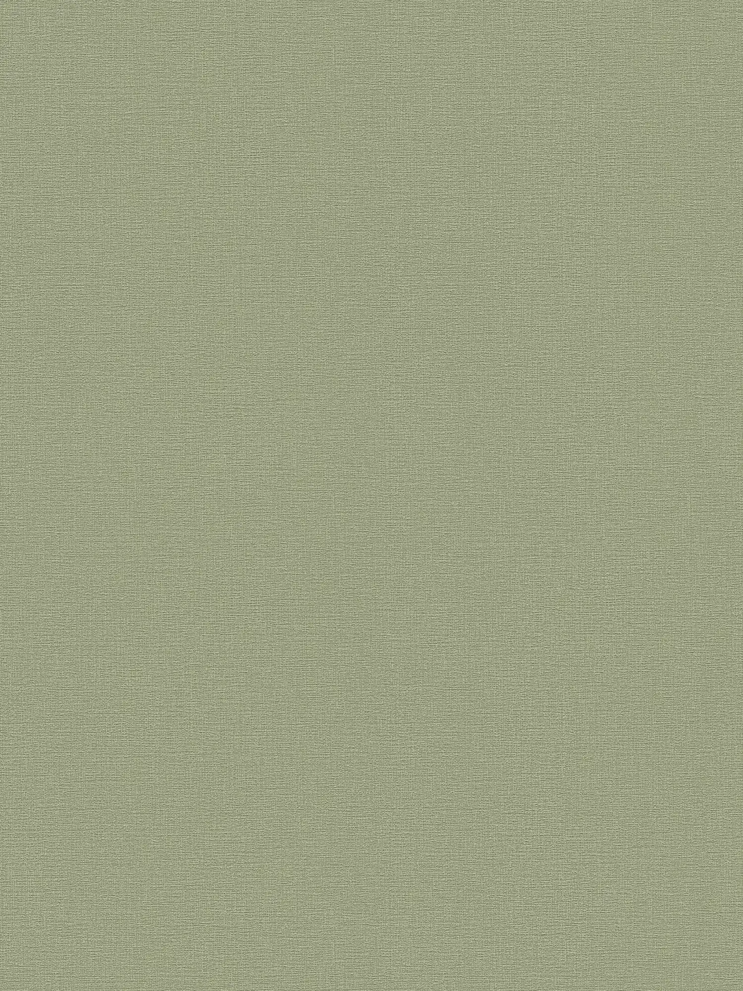         Khaki wallpaper eucalyptus green with texture pattern
    