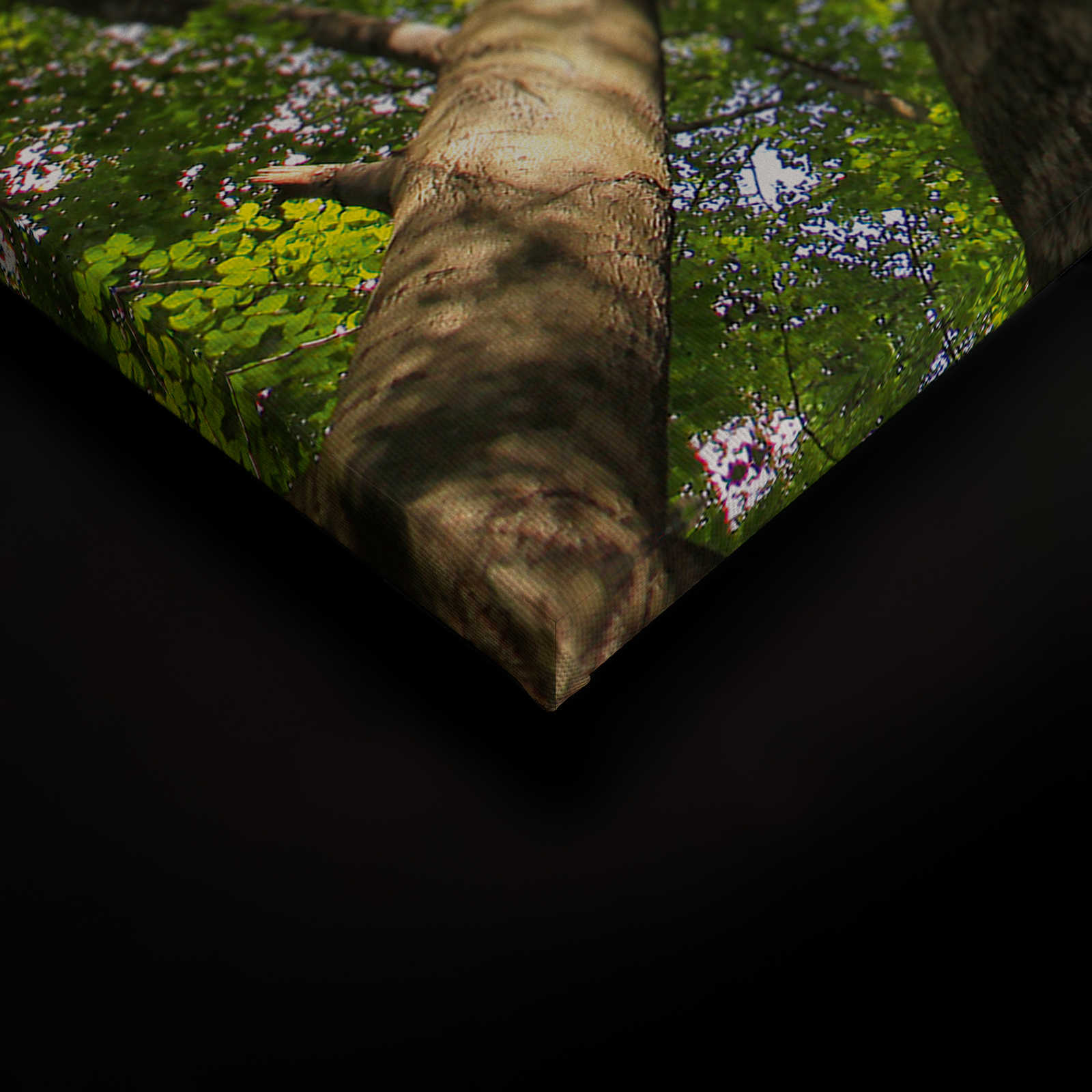 Blätterdach Leinwandbild mit Laubwald Baumwipfeln – 0,90 m x 0,60 m