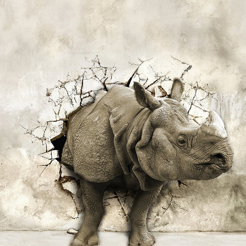rhino, baby-rhino, horn, gray, cracked-wall