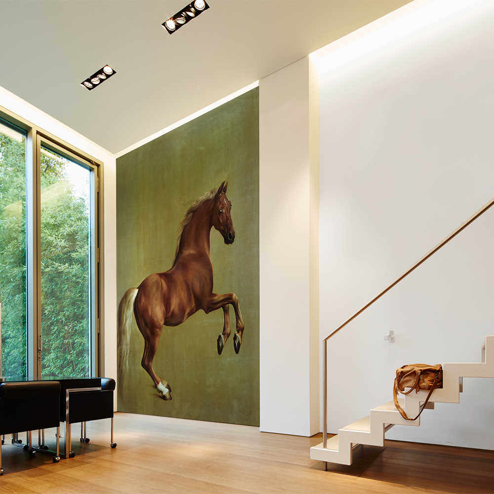 Drinnen, Innenarchitektur, Pferd, Säugetier, Treppe