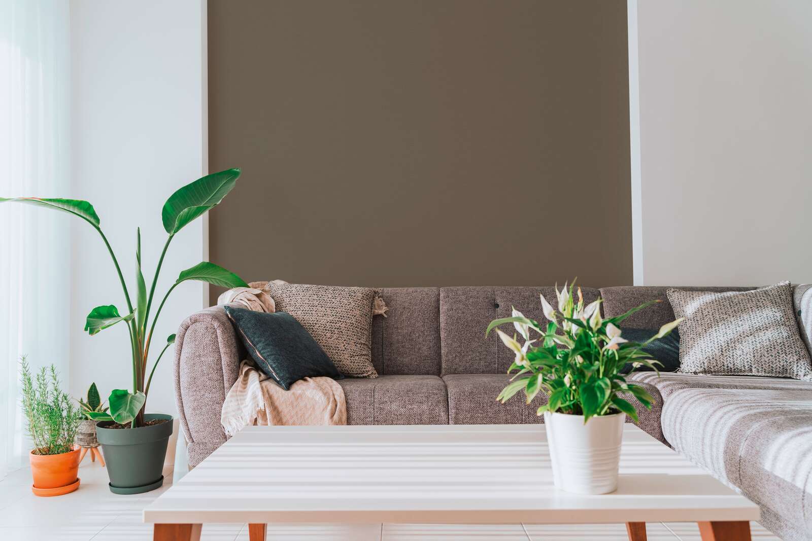 wohnzimmer, sofa, pflanzen, tisch, wohnraumdekoration