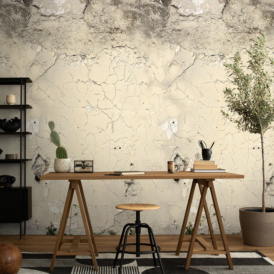 Vliestapete • Vintage Putz-Design • rissiger Wandoptik matt & glatt