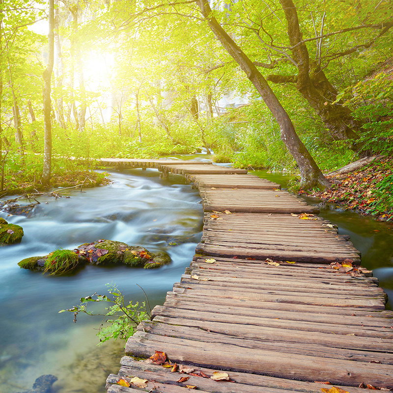 Holzbrücke, Fluss, Wald, Herbstlaub, Naturpfad