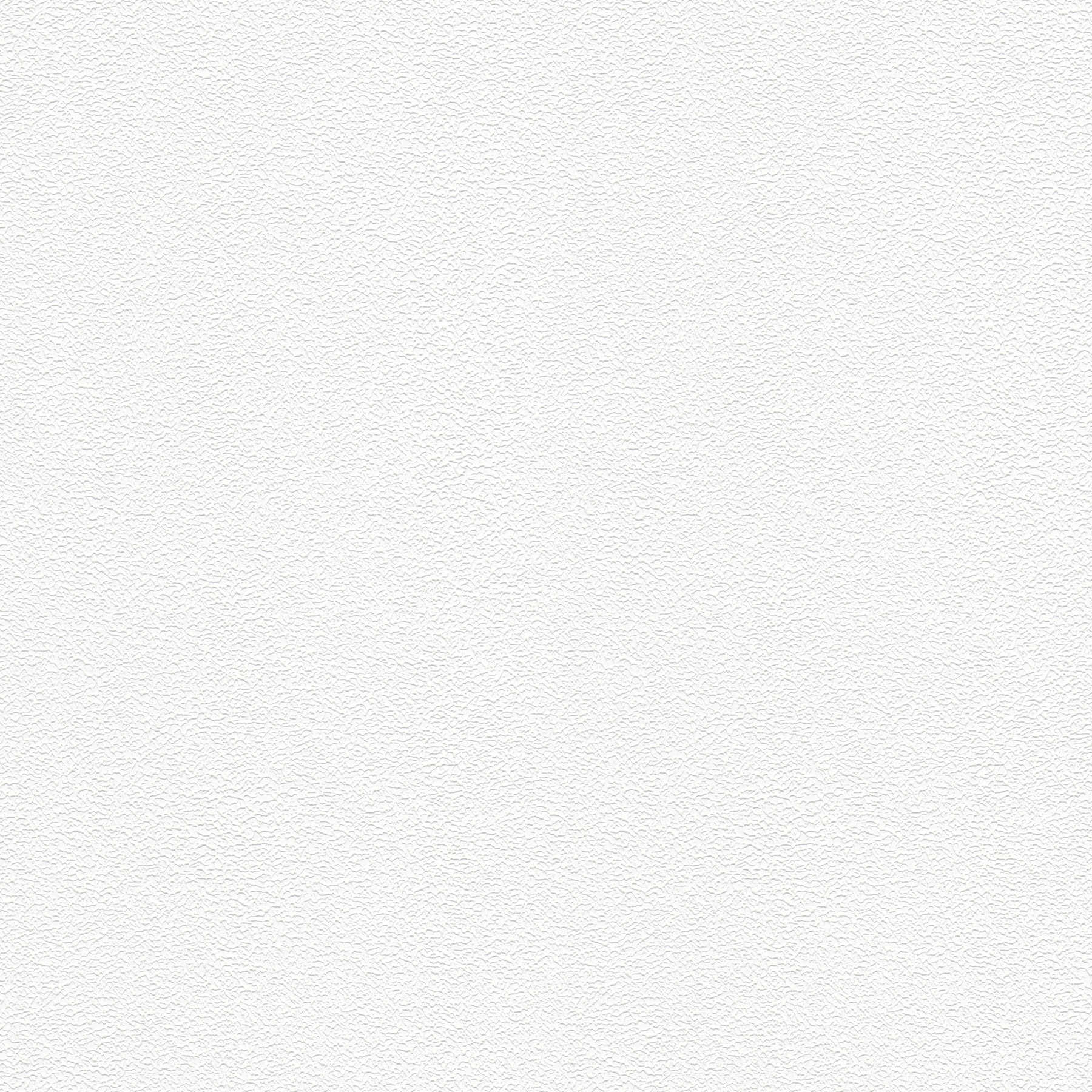         Überstreichbare Vliestapete mit Putz-Struktureffekt
    