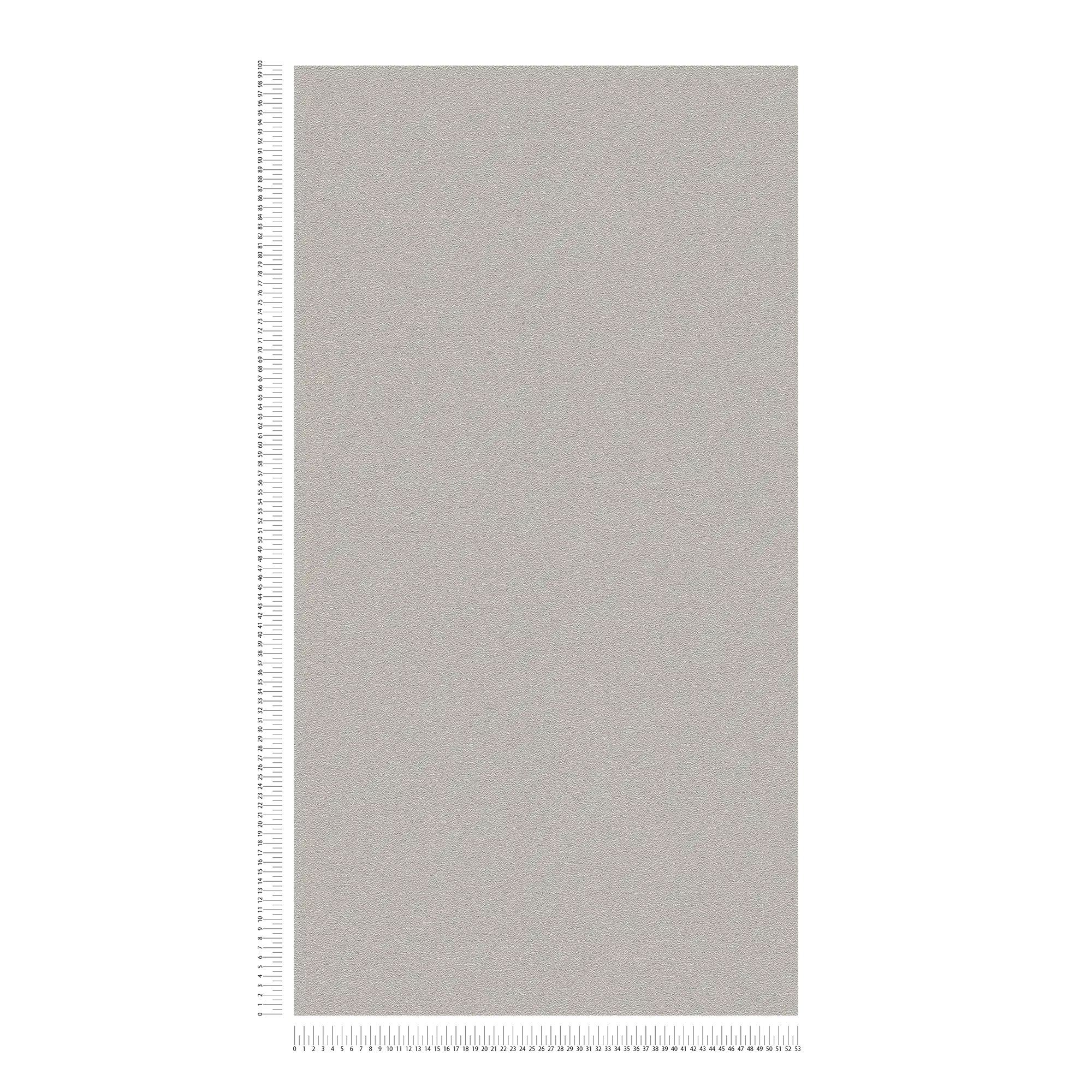             Unitapete natürliche Farbe und Strukturmuster – Grau, Braun
        