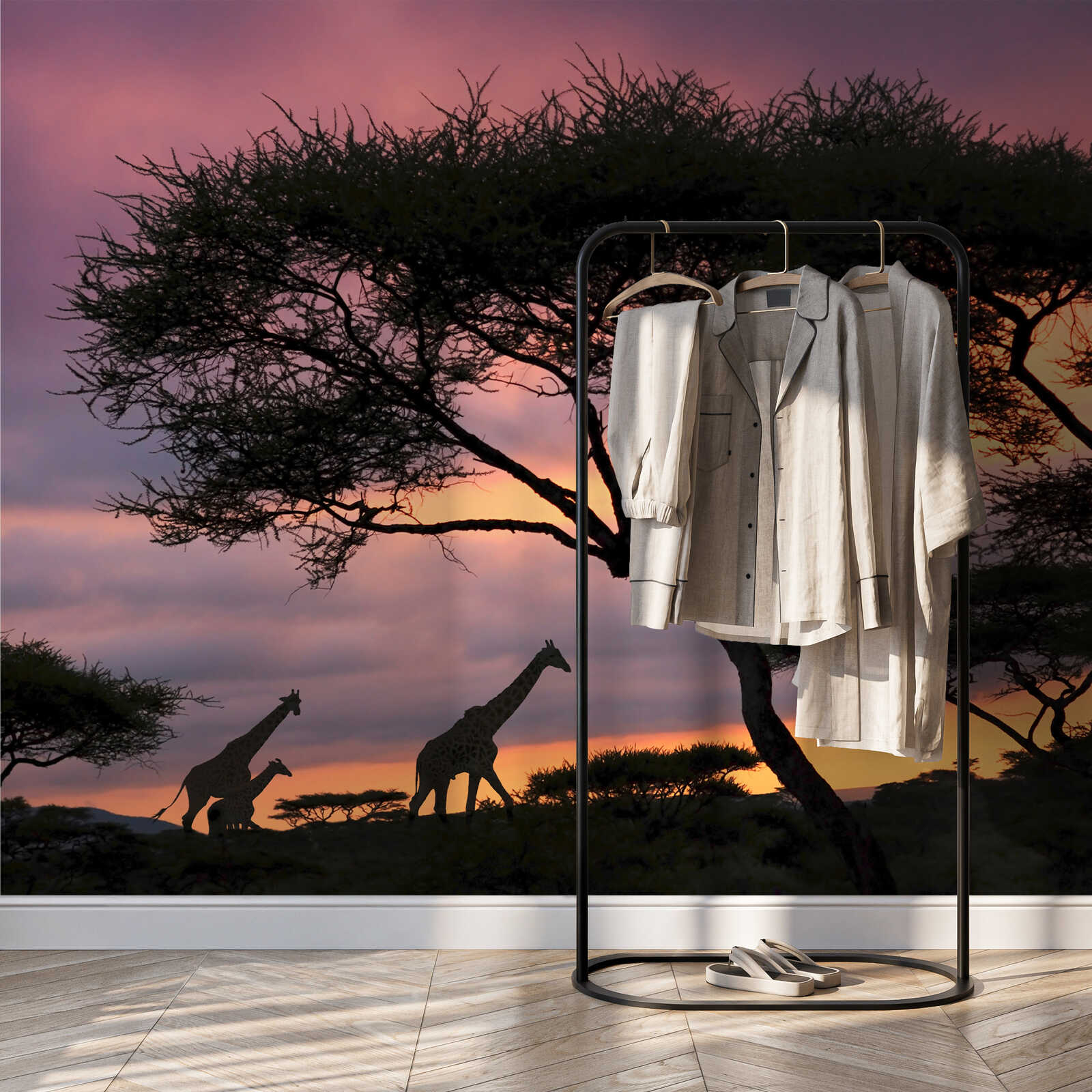 Kleiderstange, Kleidung, Mantel, Shirts, Schuhe
