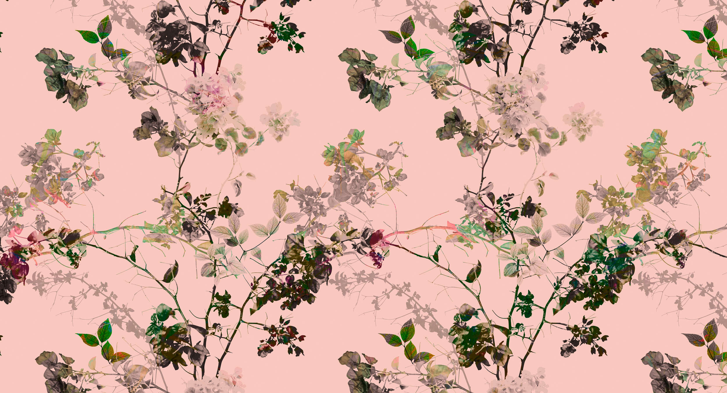 Florales Design, Grafiken, Muster, Pflanze, Blume