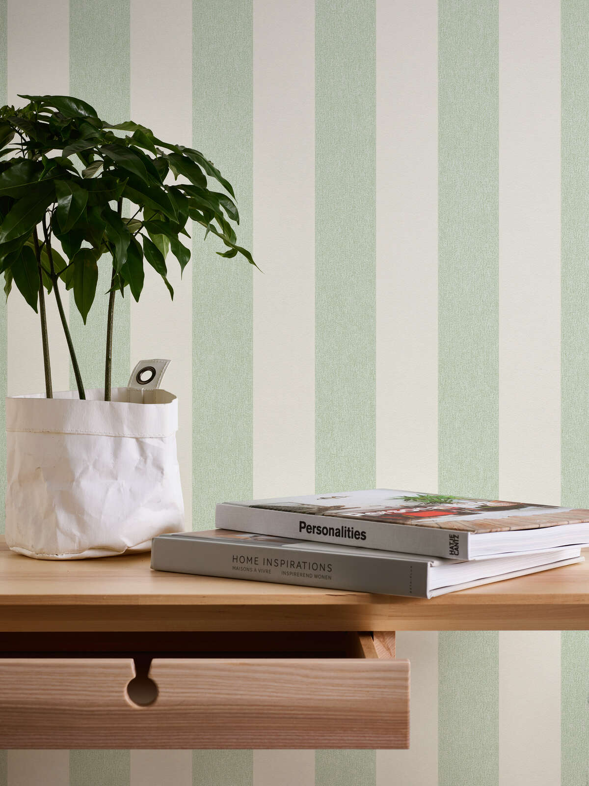 Potted plant, grüne Blätter, weiße Topf, Holztisch, Magazine