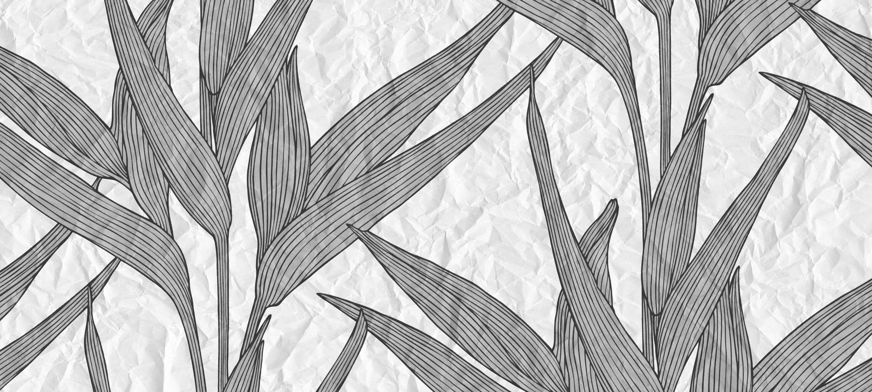 blatt, pflanze, muster, linienkunst, grau
