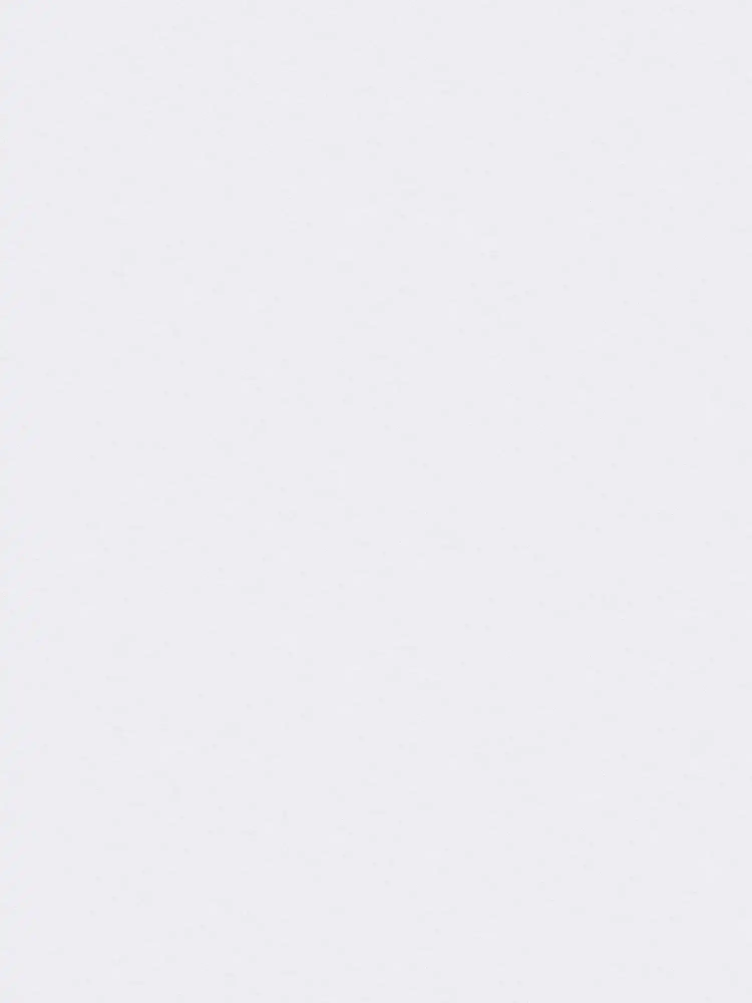         Thermowall wallpaper energy-saving paintable & overpaintable - 10.05 m x 1.06 m
    