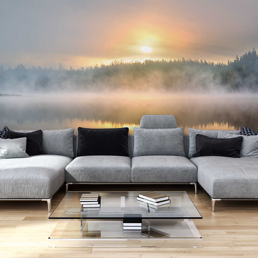 sofa, couch, wohnzimmer, couchtisch, wand mural