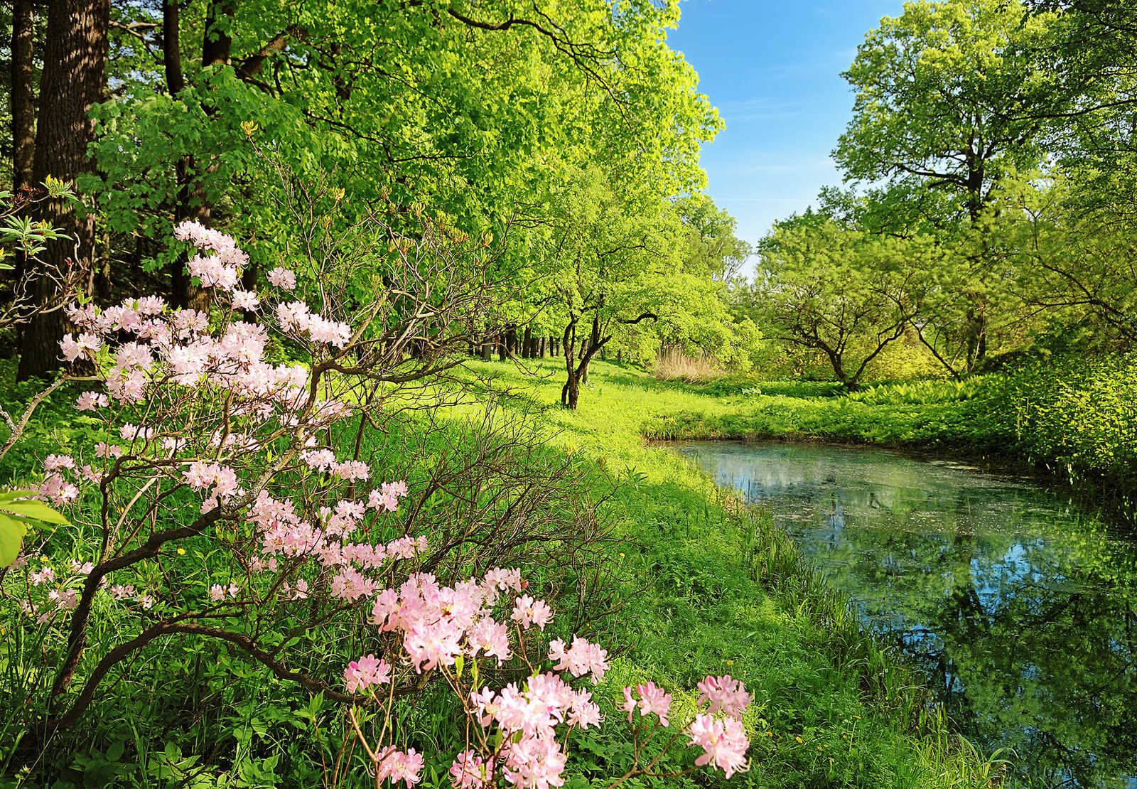         Fototapete Landschaft im Frühling, Naturaufnahme
    