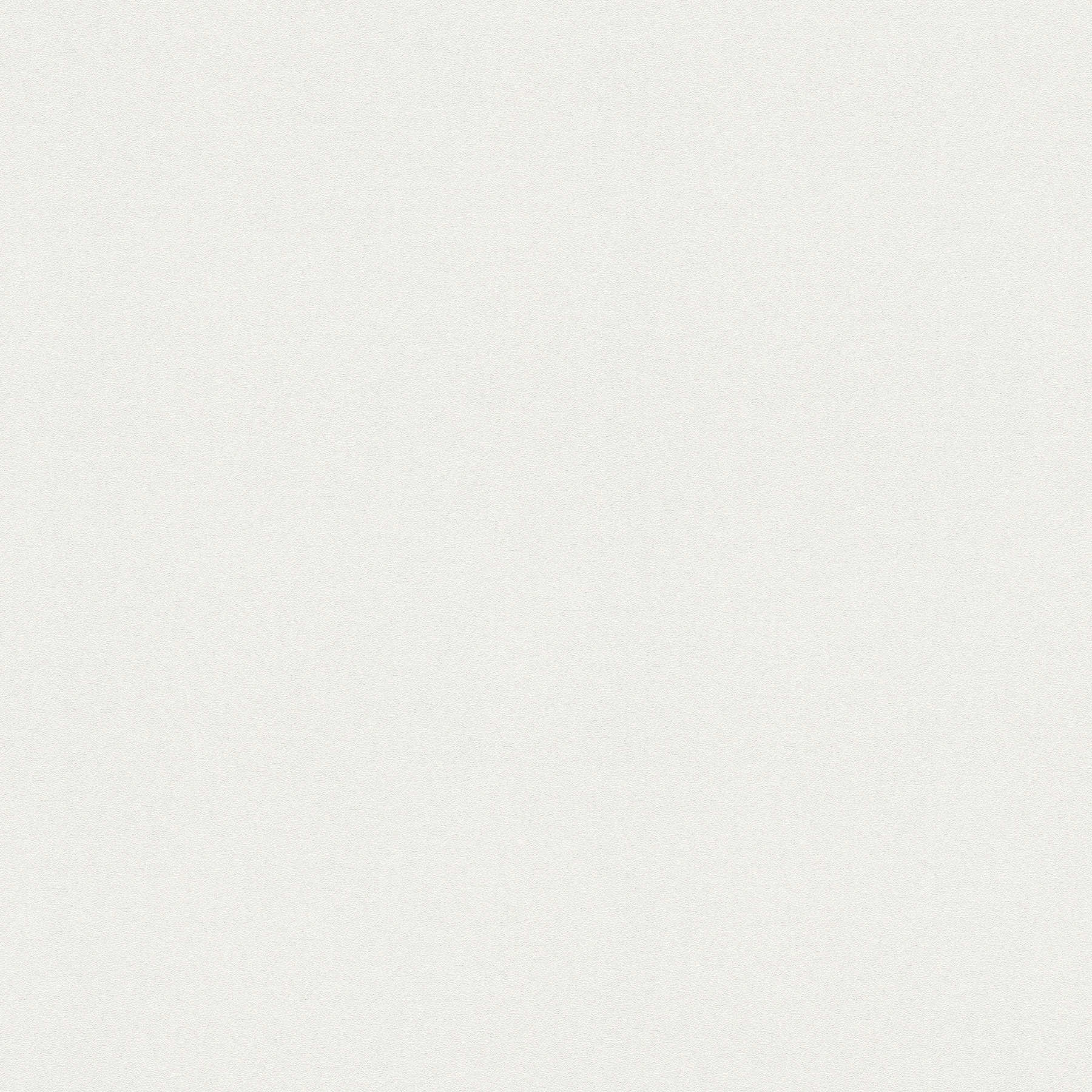         Neutraal vliesbehang effen, licht & glad - wit
    