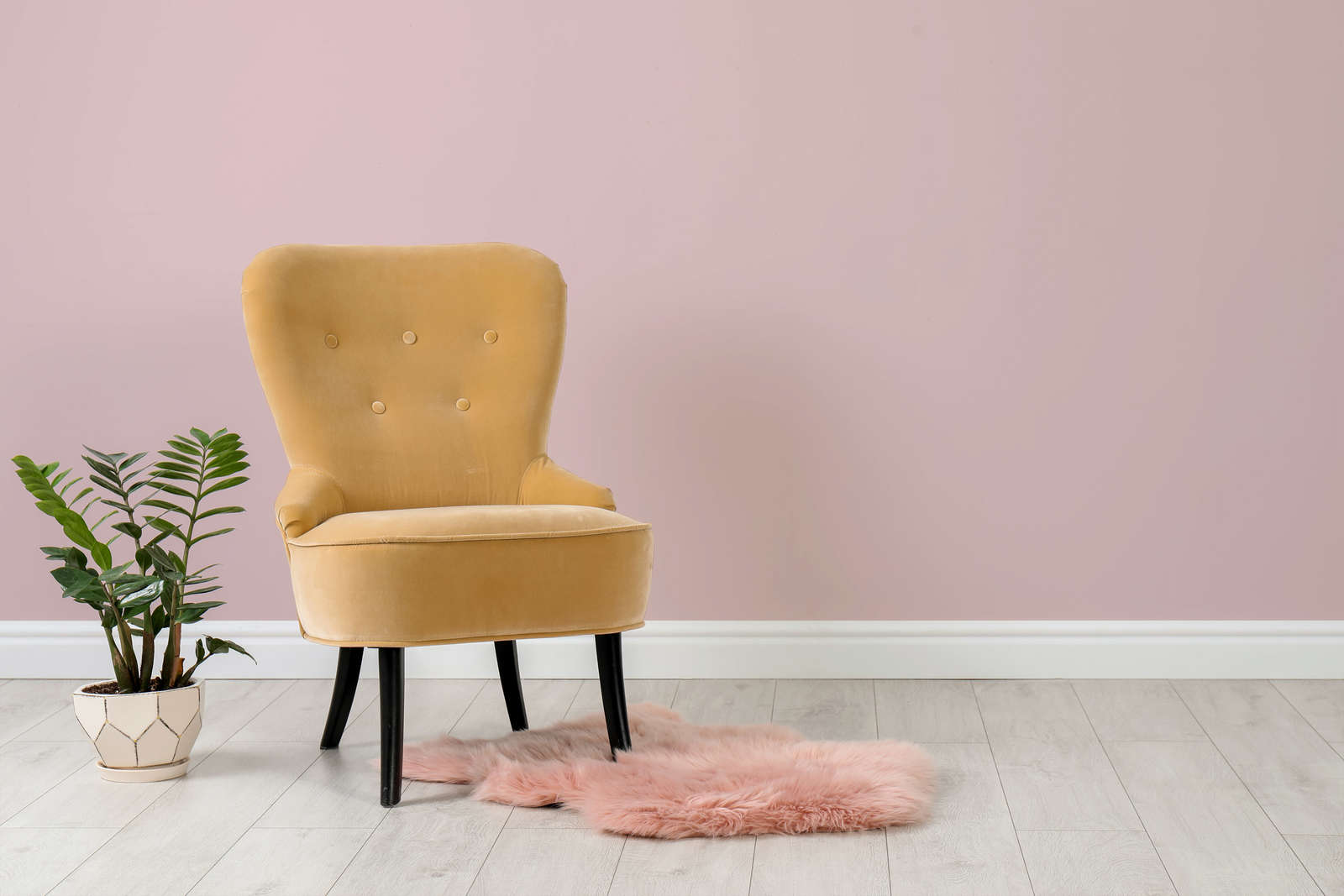 Sessel, Samtstuhl, Beige, Pflanze, Rosa Wand
