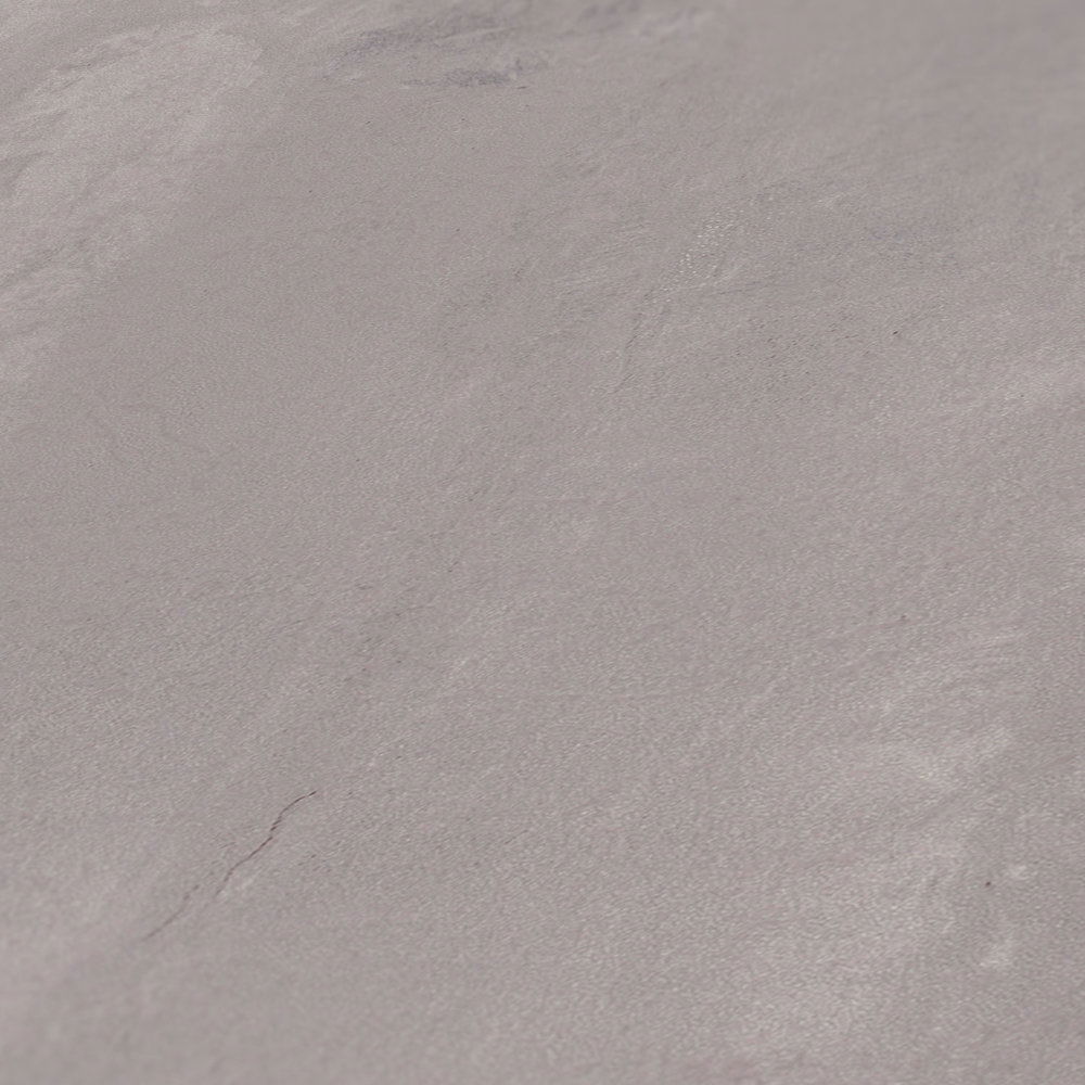             Vliestapete mit Wischbeton-Optik im Used Look – Grau
        