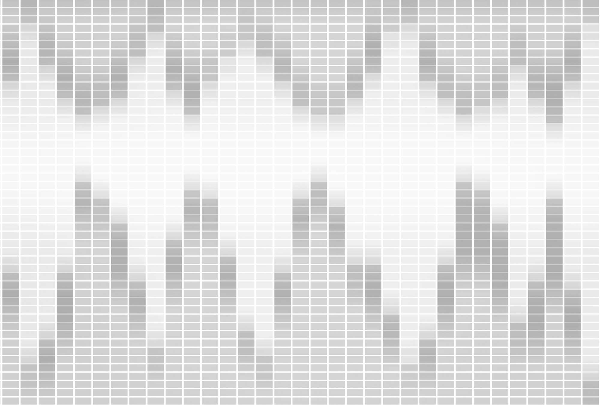             Modern Style Wandgestaltung – Vliestapete mit Schallwellen Muster – Grau, Weiß
        