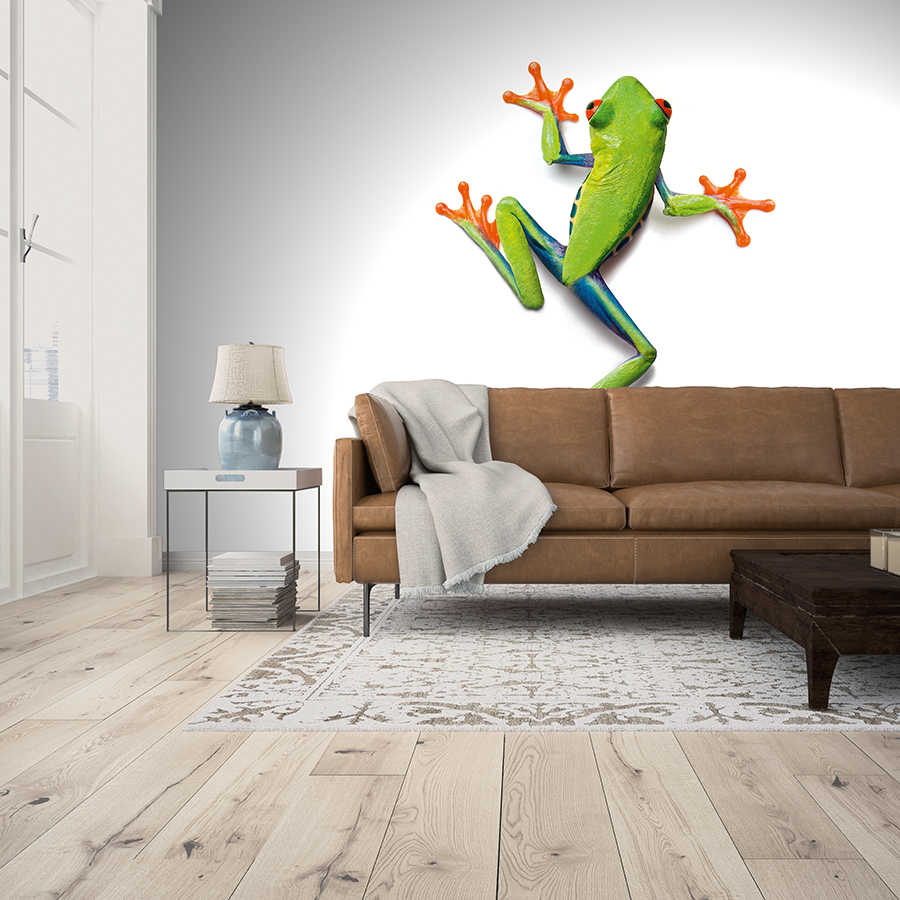 Frosch, Wandtapete, Wandbild, Wohnzimmer, Tafel Lampen