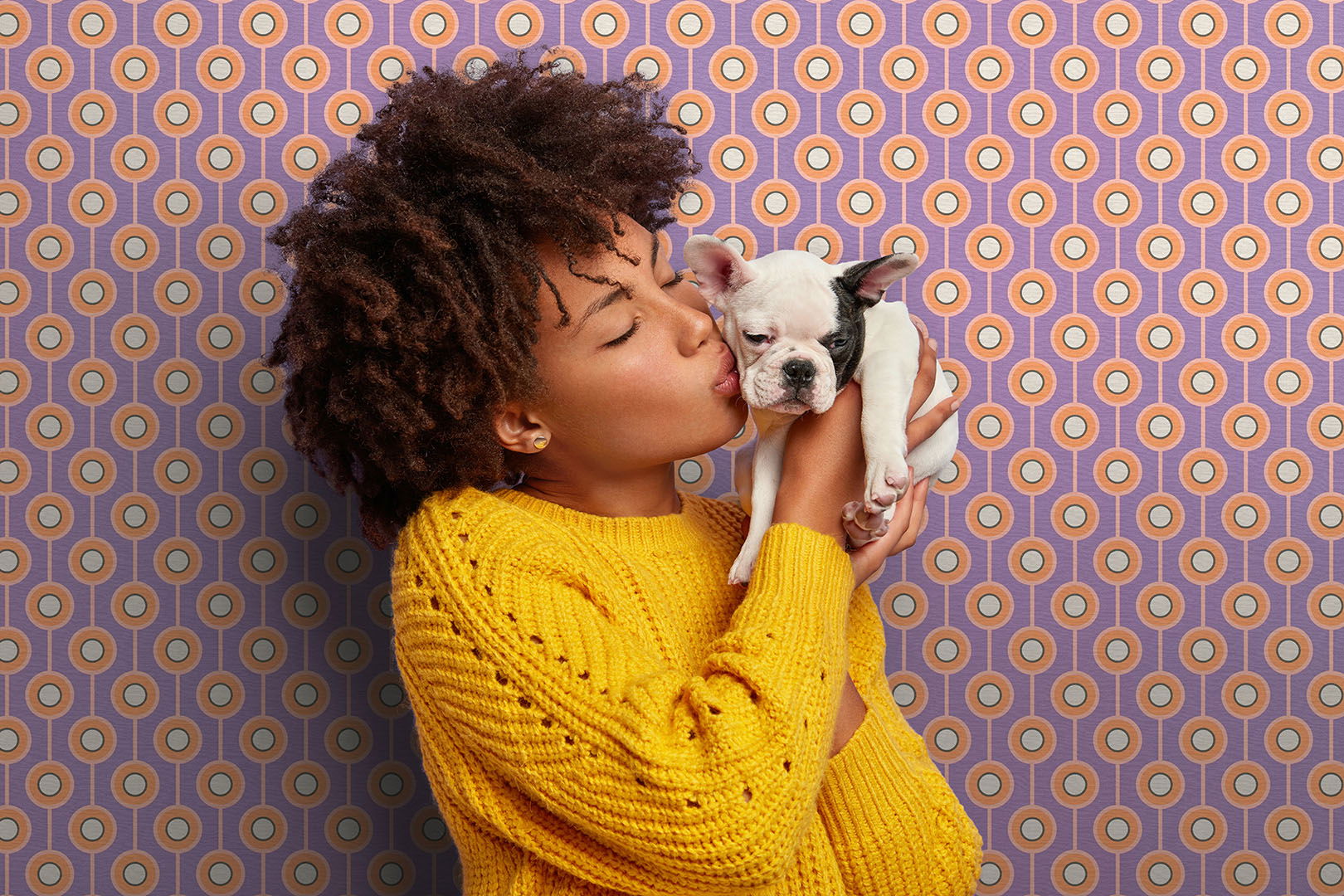 Photographie, Welpe, Kopf, Gesicht, Portrait