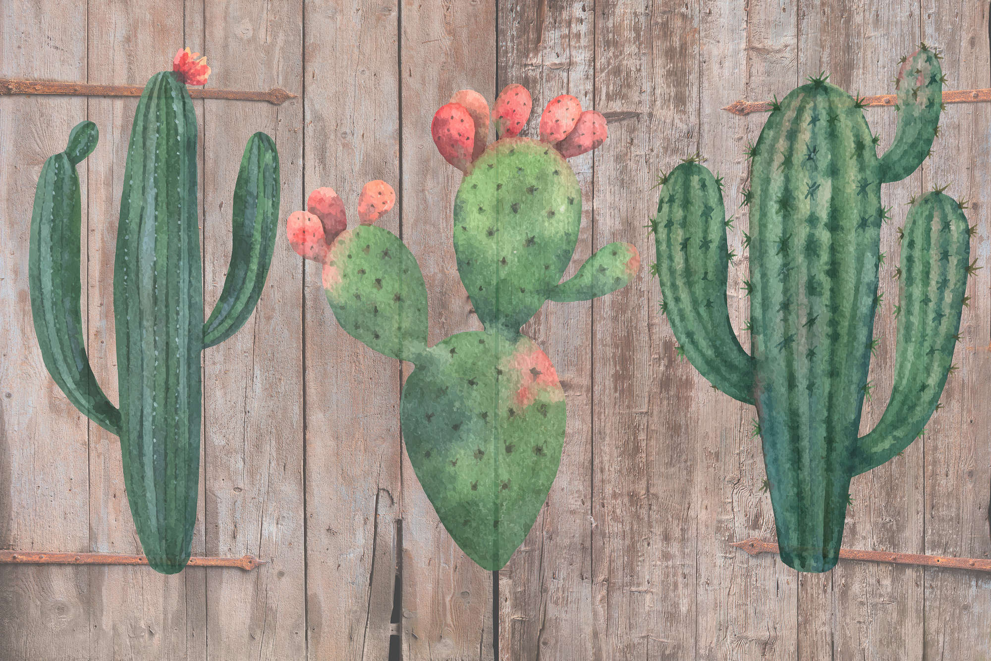             Grafik Fototapete Holzzaun mit Kaktus Zeichnungen auf Matt Glattvlies
        
