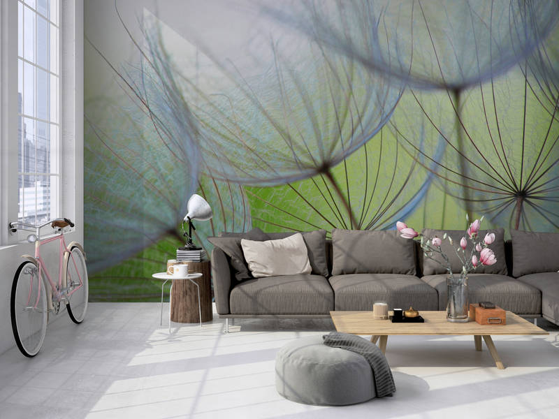             Blumen Fototapete Löwenzahn Motiv auf Matt Glattvlies
        