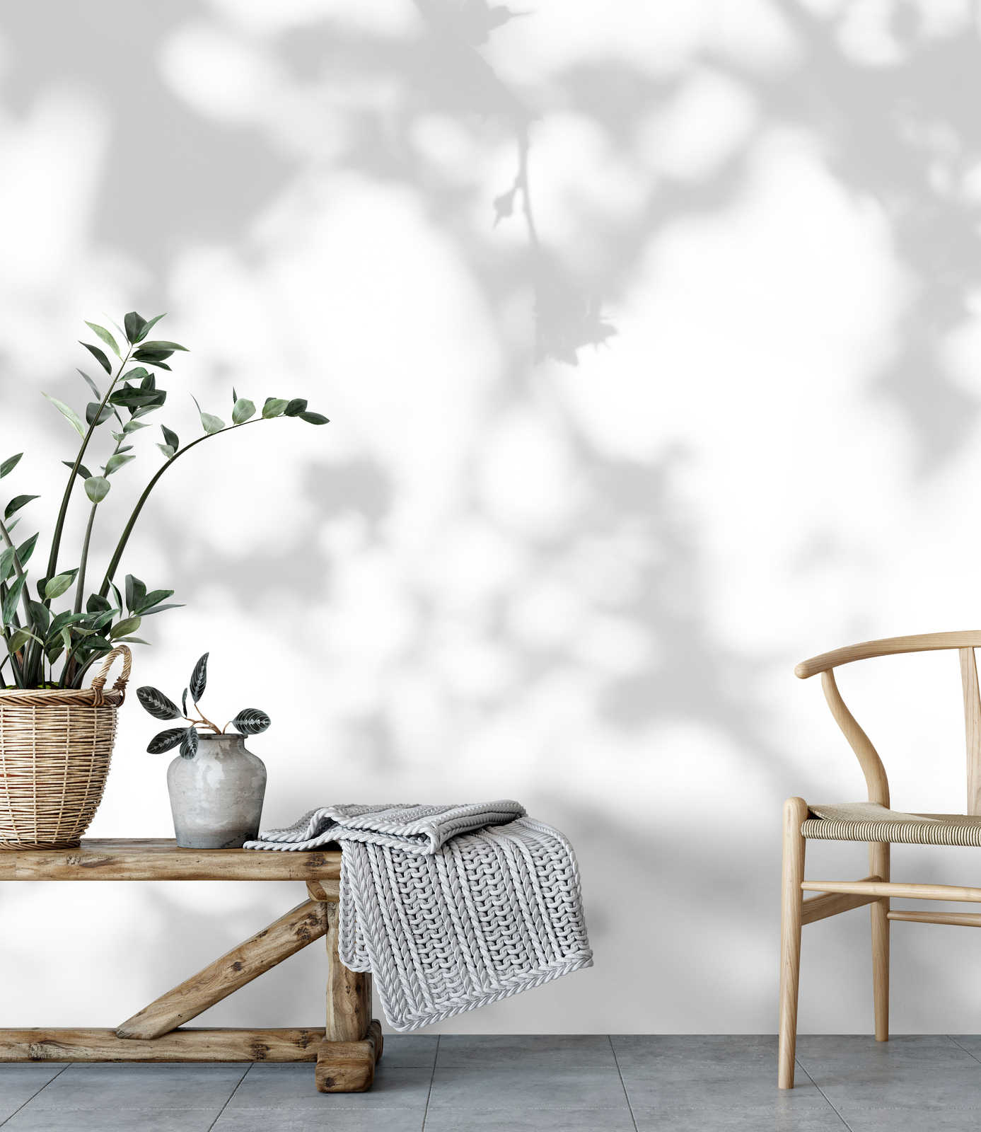 Pflanze, Pflanze im Topf, Drinnen, Innenarchitektur