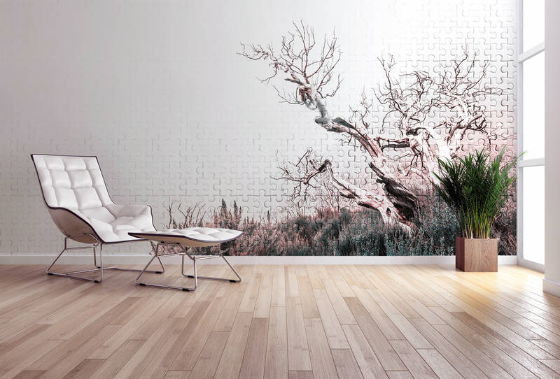 Fußboden, Innenarchitektur, Wand, Bodenbeläge, Leinwand