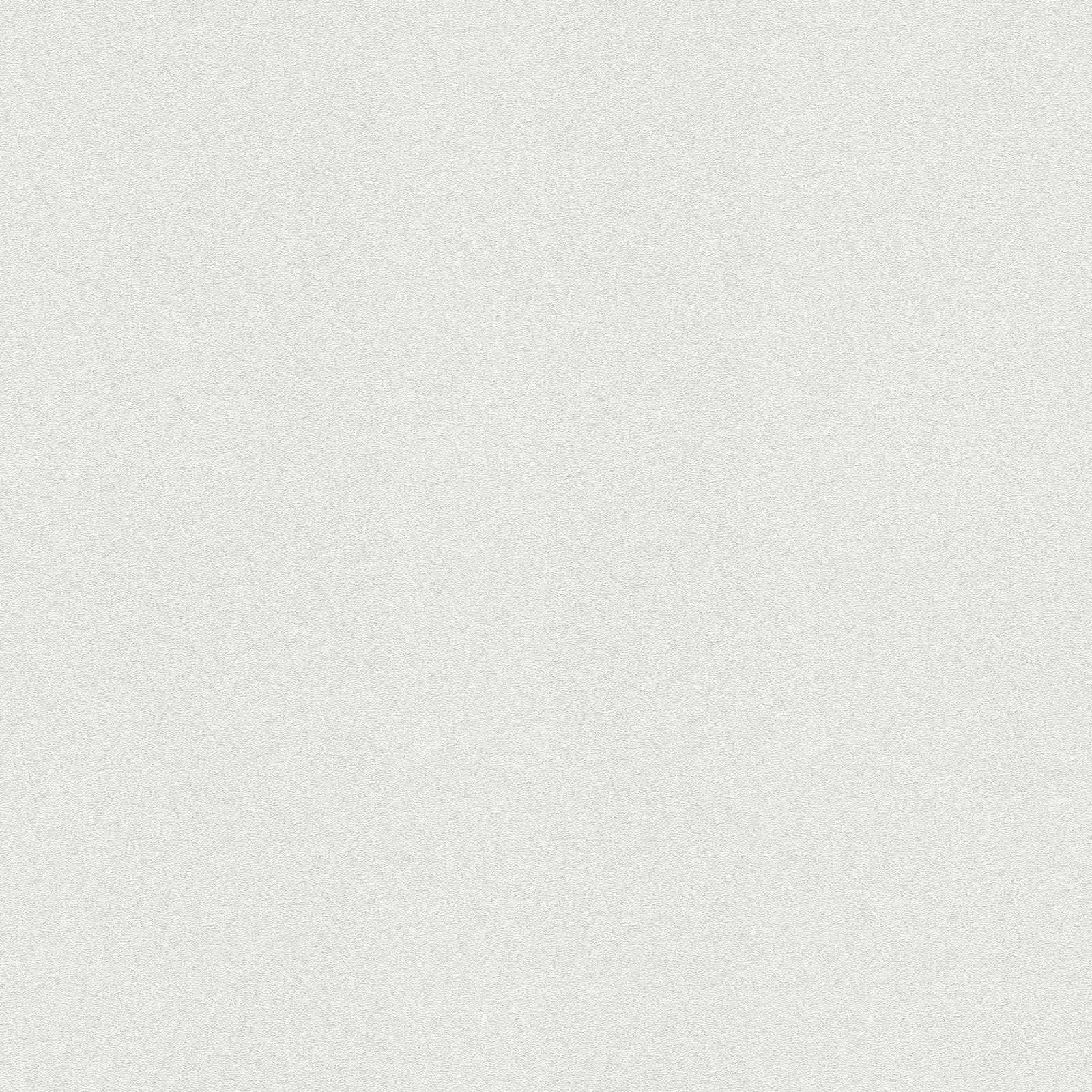         Papier peint intissé à peindre à structure fine - 25,00 m x 1,06 m
    