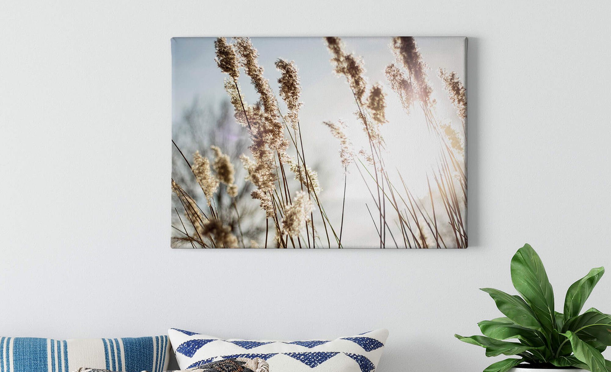 New Walls. Couleur Liquid Luxury