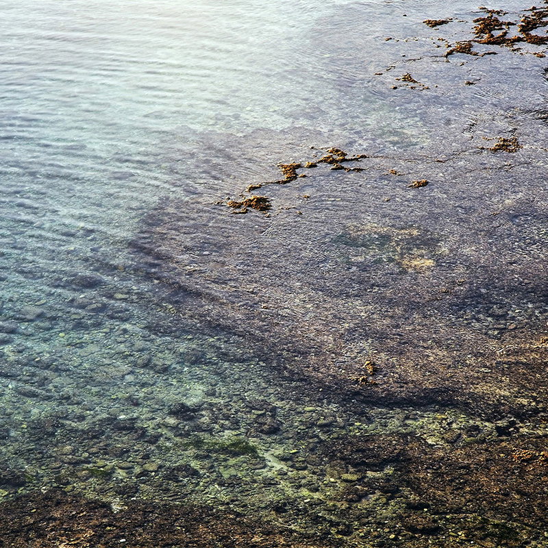 see-through water, flachwasser, felsiger Grund, küstenlandschaft, algen