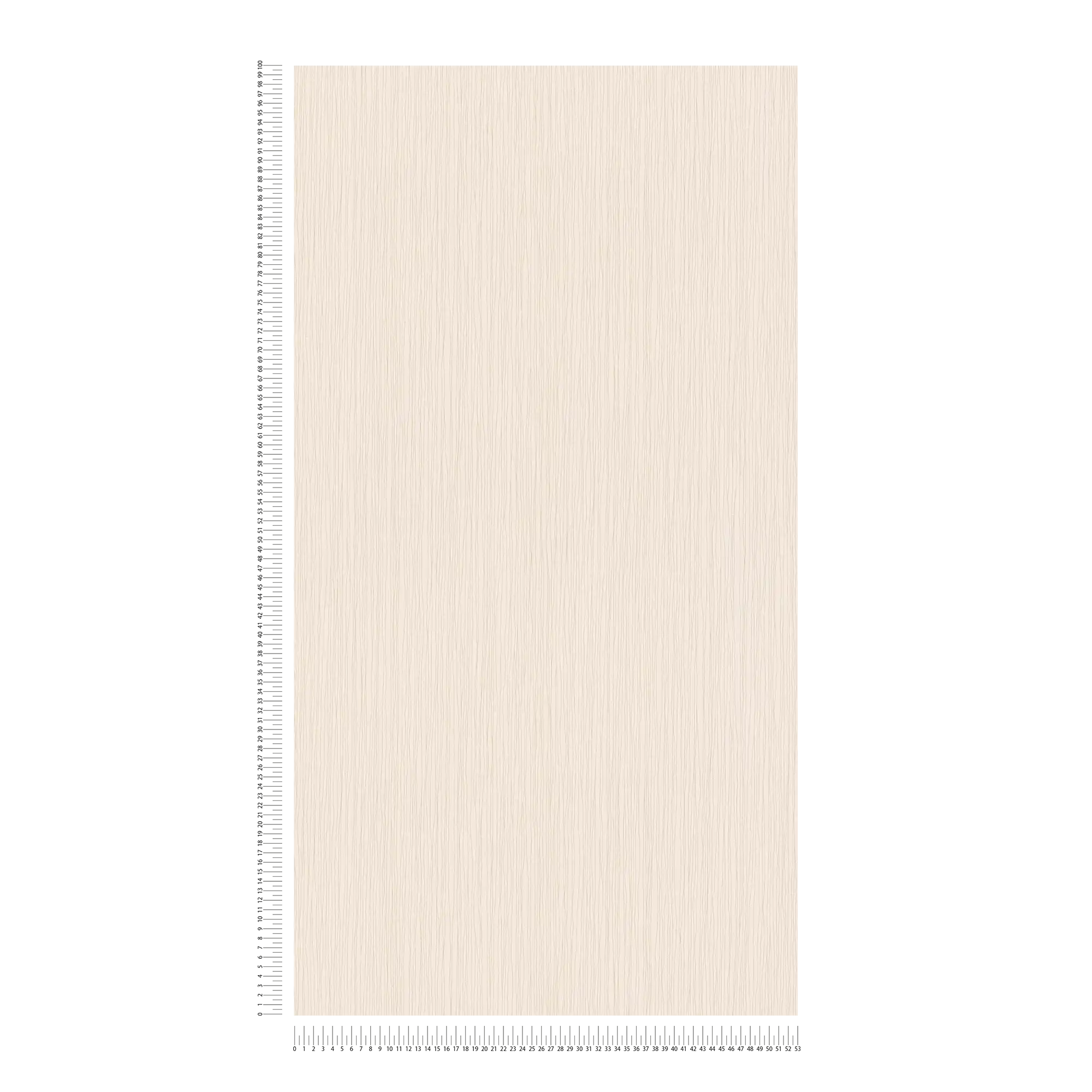             Helle Vliestapete Beige Liniendesign & Prägestruktur
        