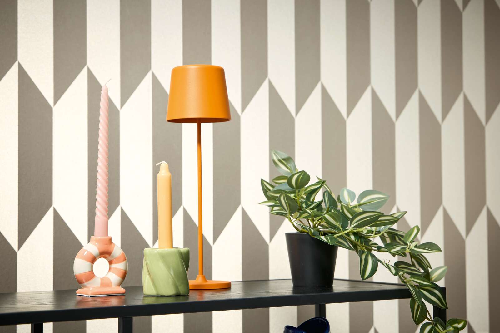 Lampe, Drinnen, Innenarchitektur, Pflanze