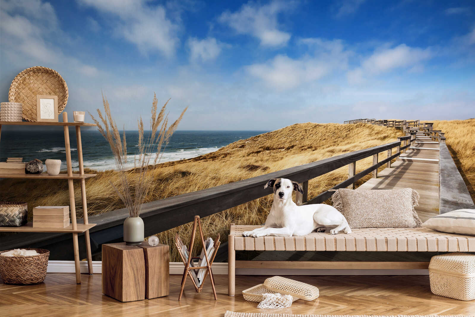 Hund, Sofa, Innenraum, Meer, Wandbild