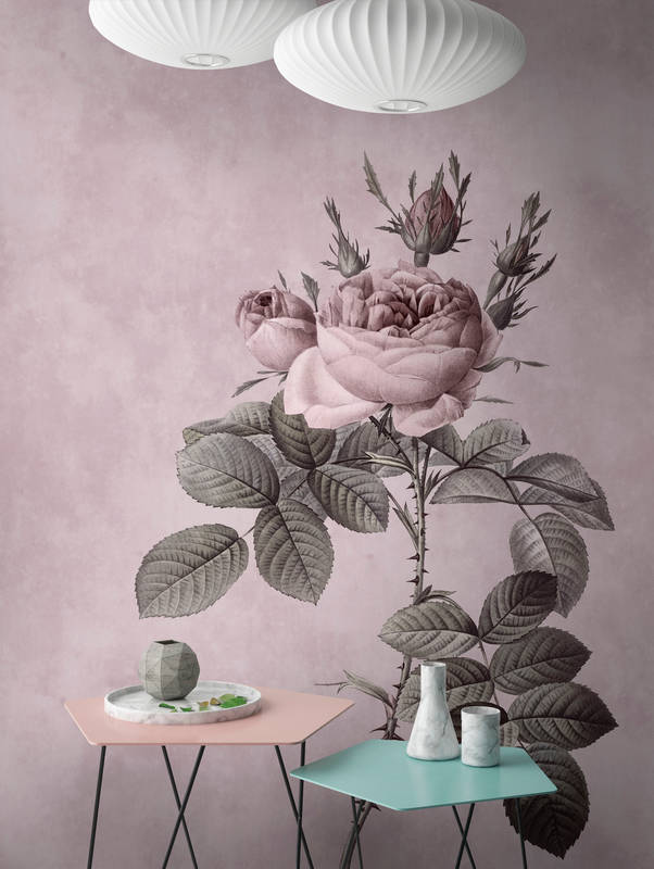 Blume, Pflanze, Rose, Kunst, Malerei