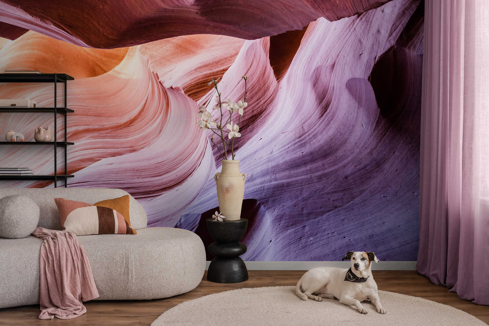 sofa, wohnzimmer, teppich, vase, hund