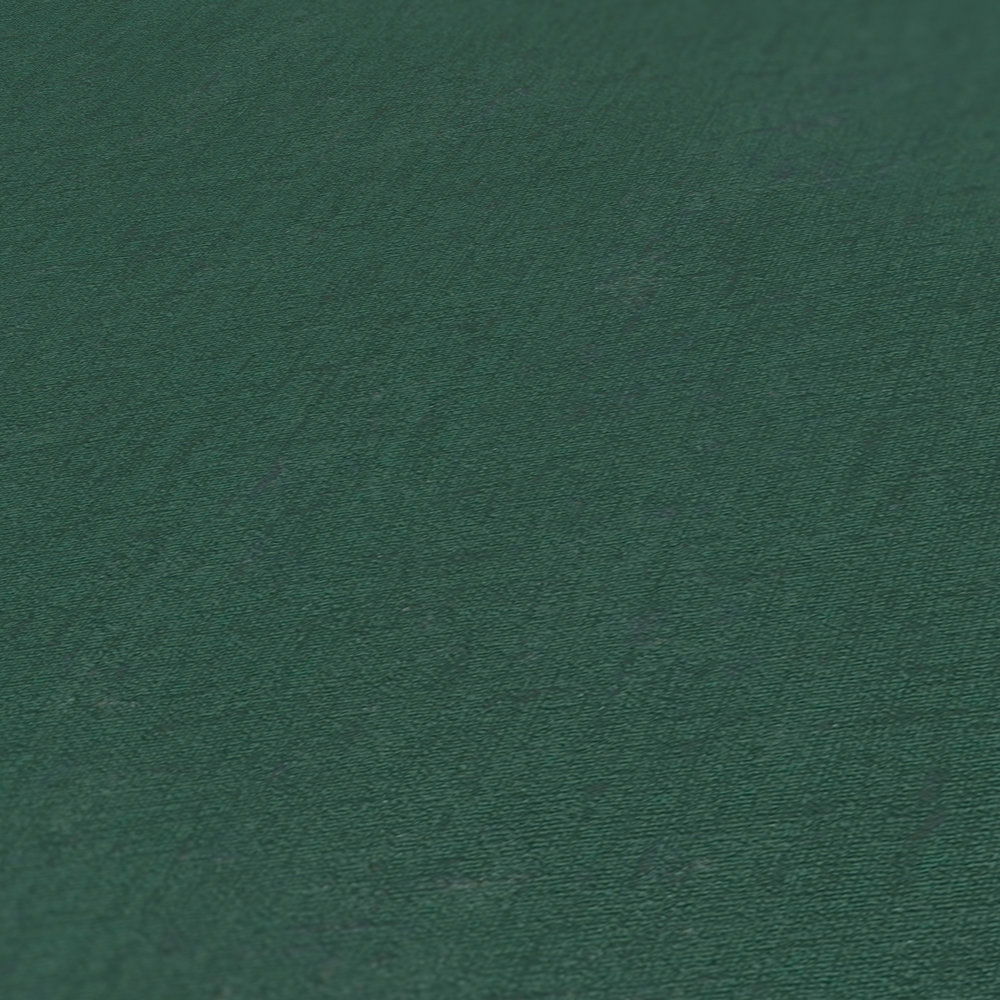 Textur, Gras, Pflanze, Dekoration für Zuhause