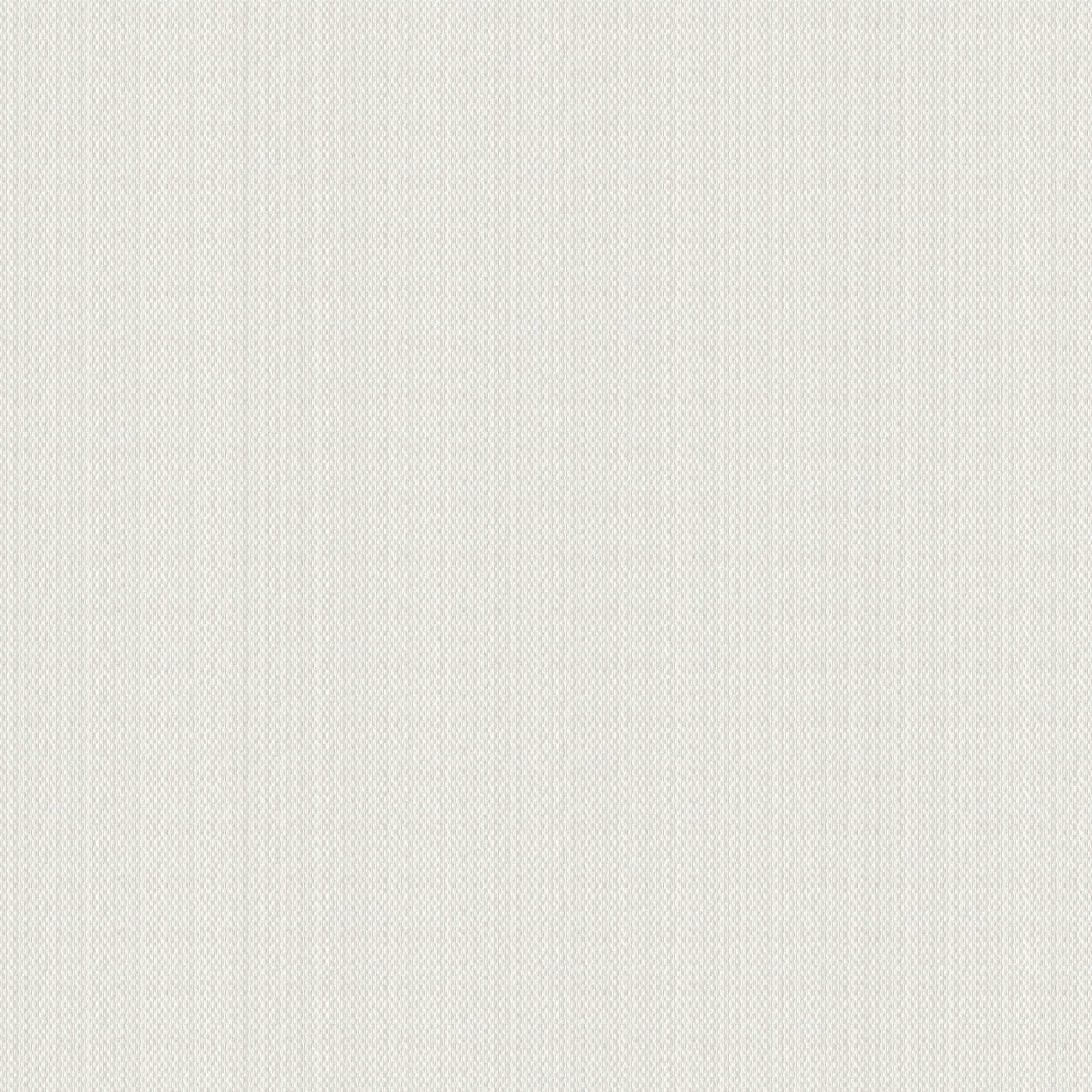         A.S. Création Behang Glasdekogewebe
    