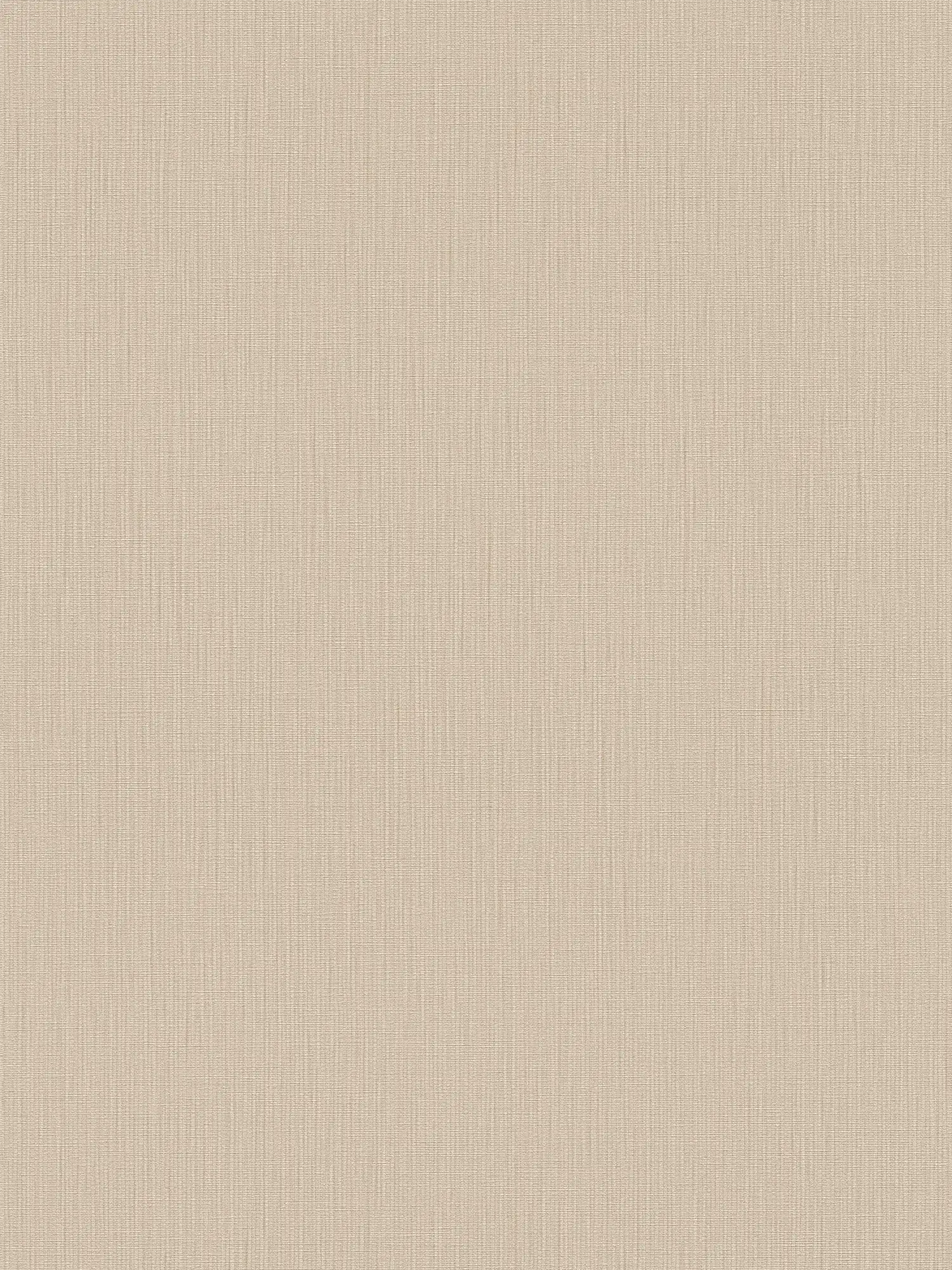             Einfarbige MICHALSKY Vliestapete im Stoffdesign – Beige
        