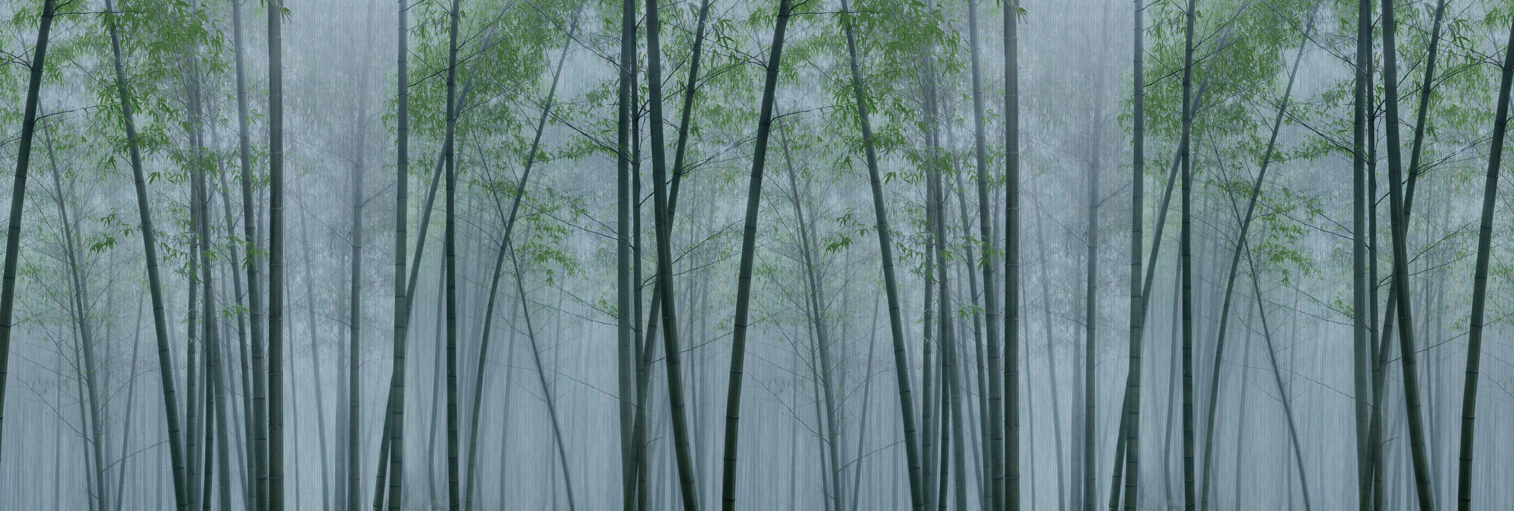 Draußen, Natur, Landschaft, Pflanze, Vegetation