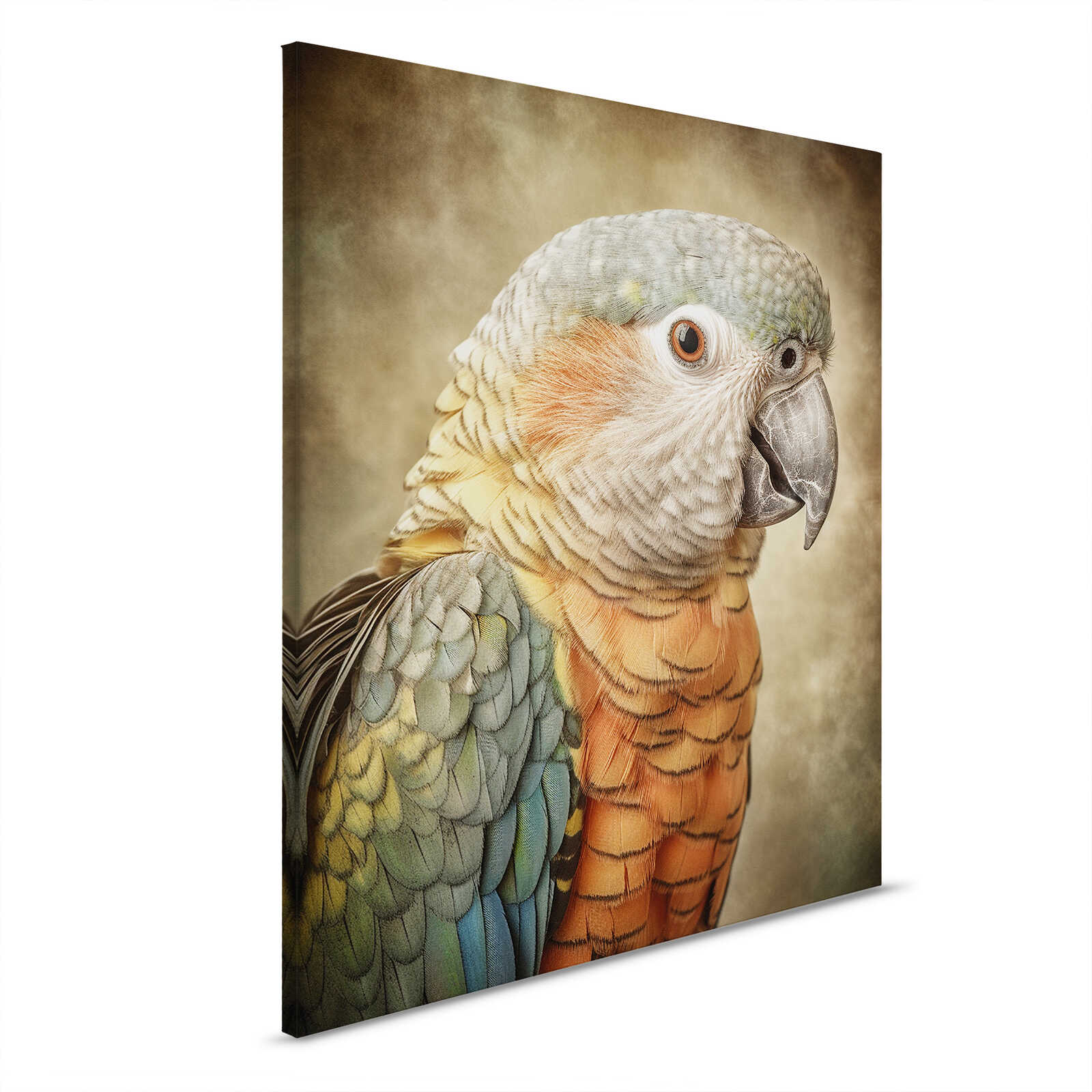         Joyau tropical - Toile Vue Perroquet - Portrait captivant d'un perroquet - 40 x 50 cm - Multicolore, Orange
    