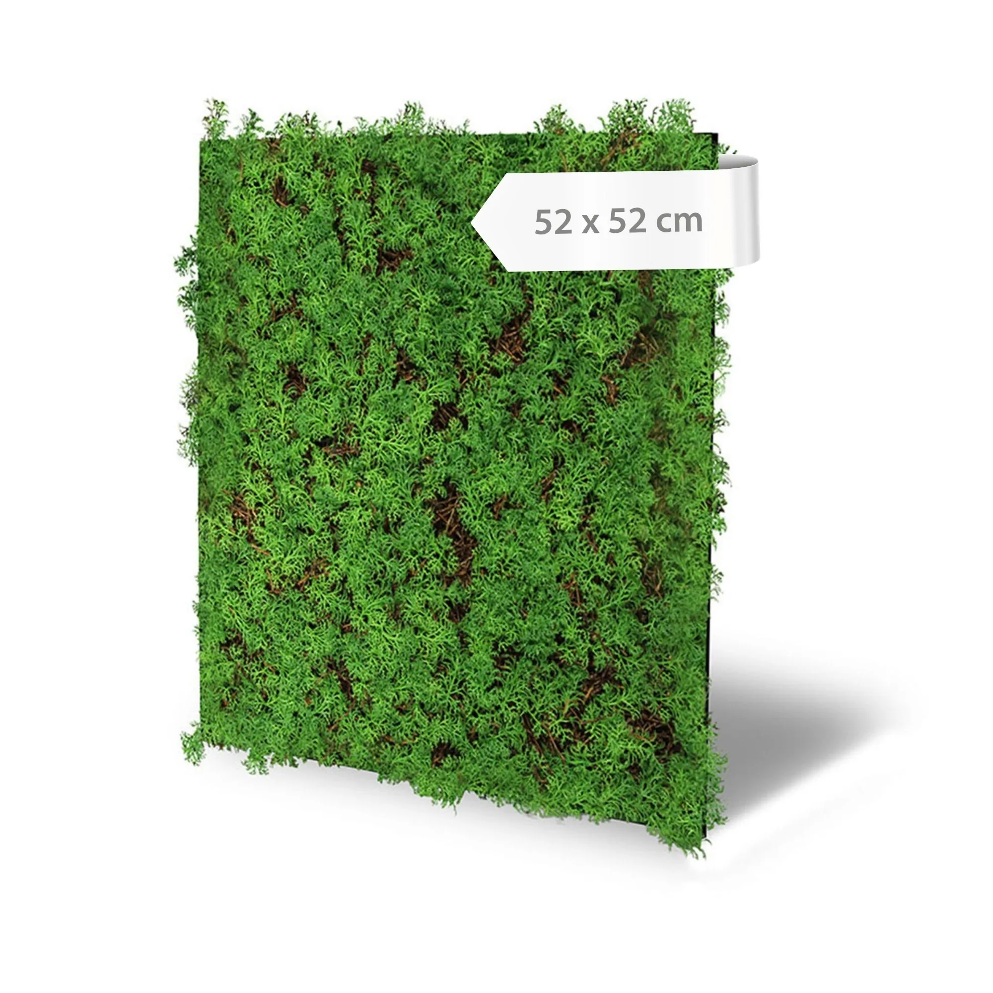 Wall panel with artificial plants featuring a mix of thuja and tea tree, 52 x 52 cm – green