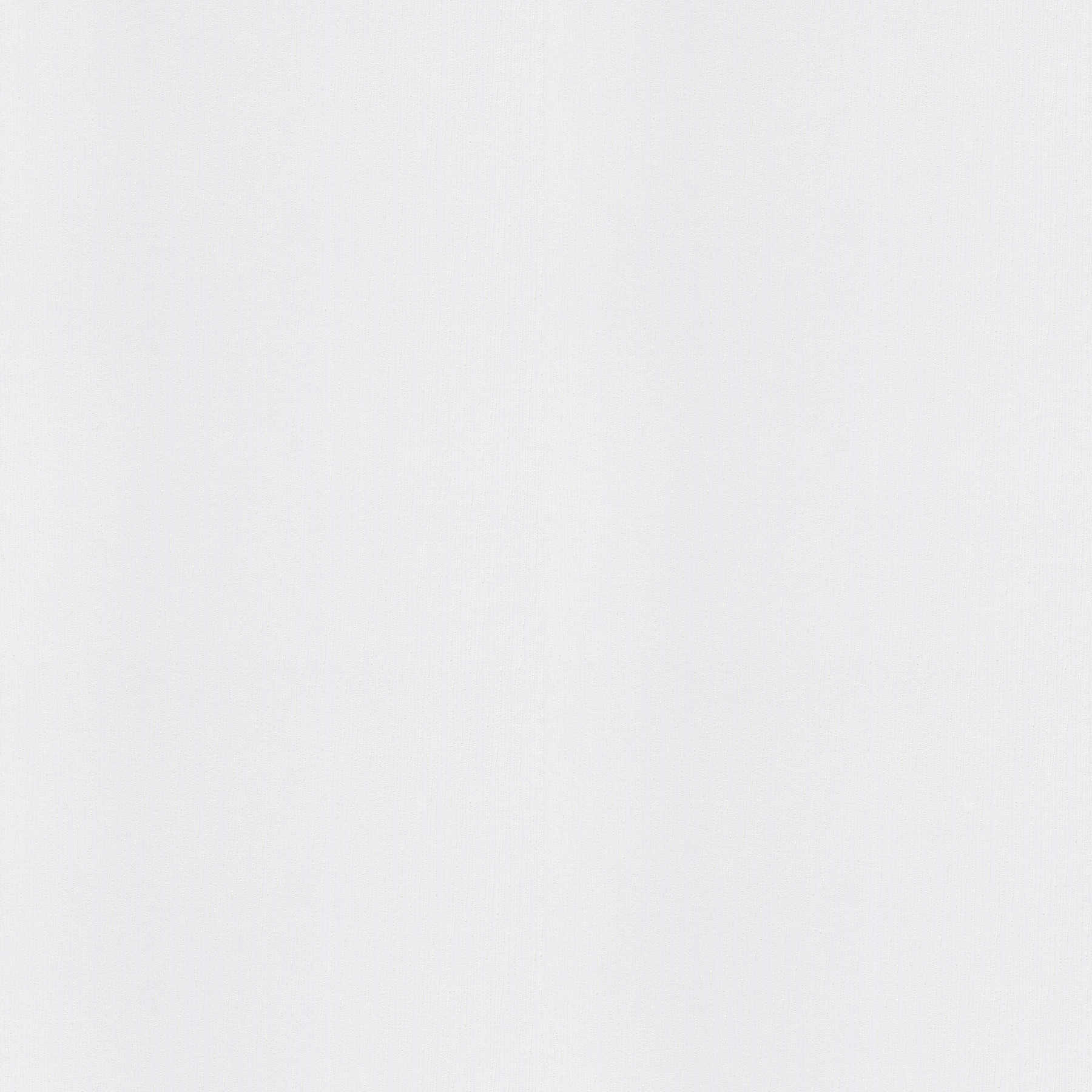         Glad vliesbehang Meistervlies Protect - wit
    