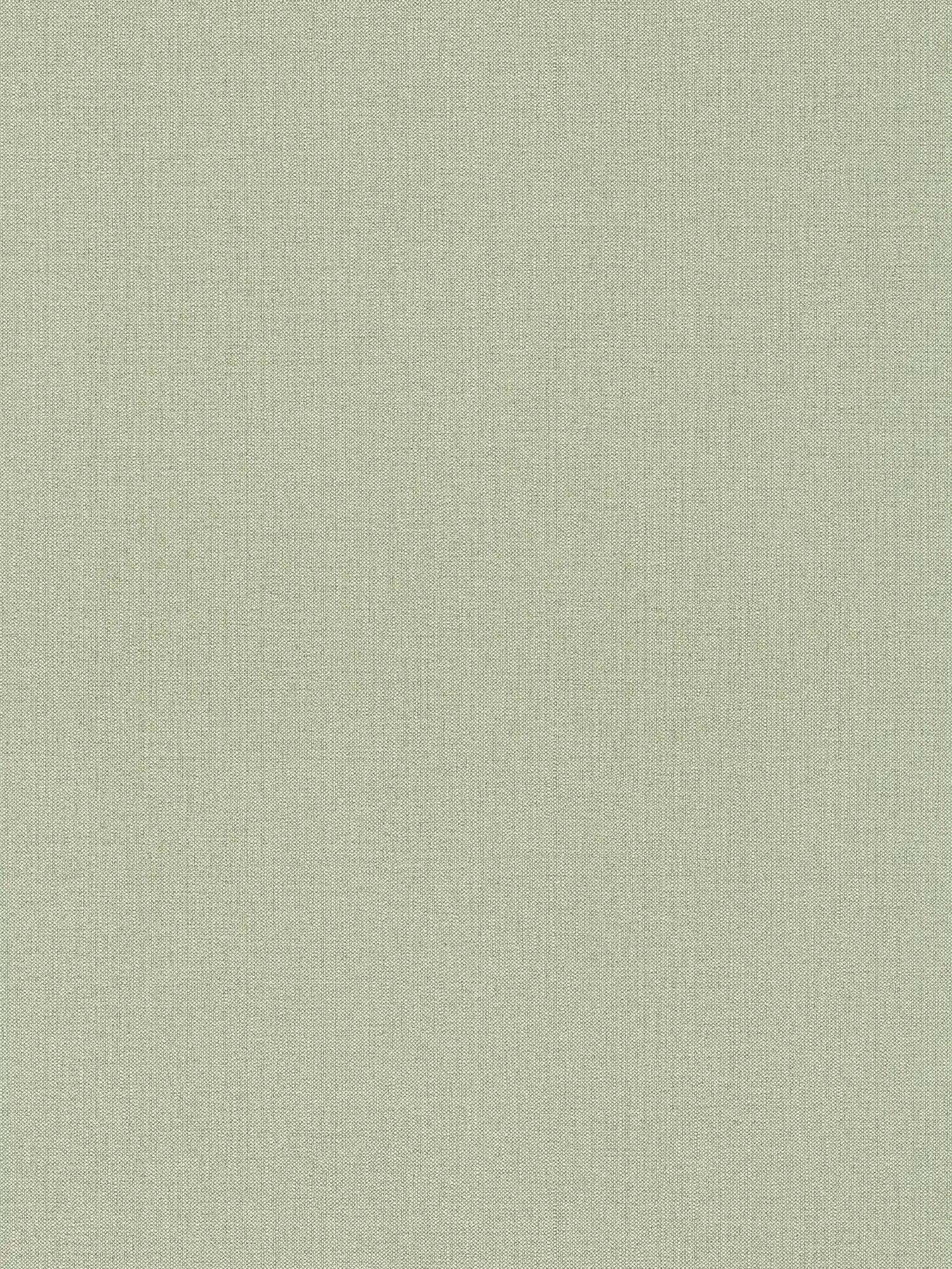         Papier peint intissé vert aspect lin dans le style scandi
    