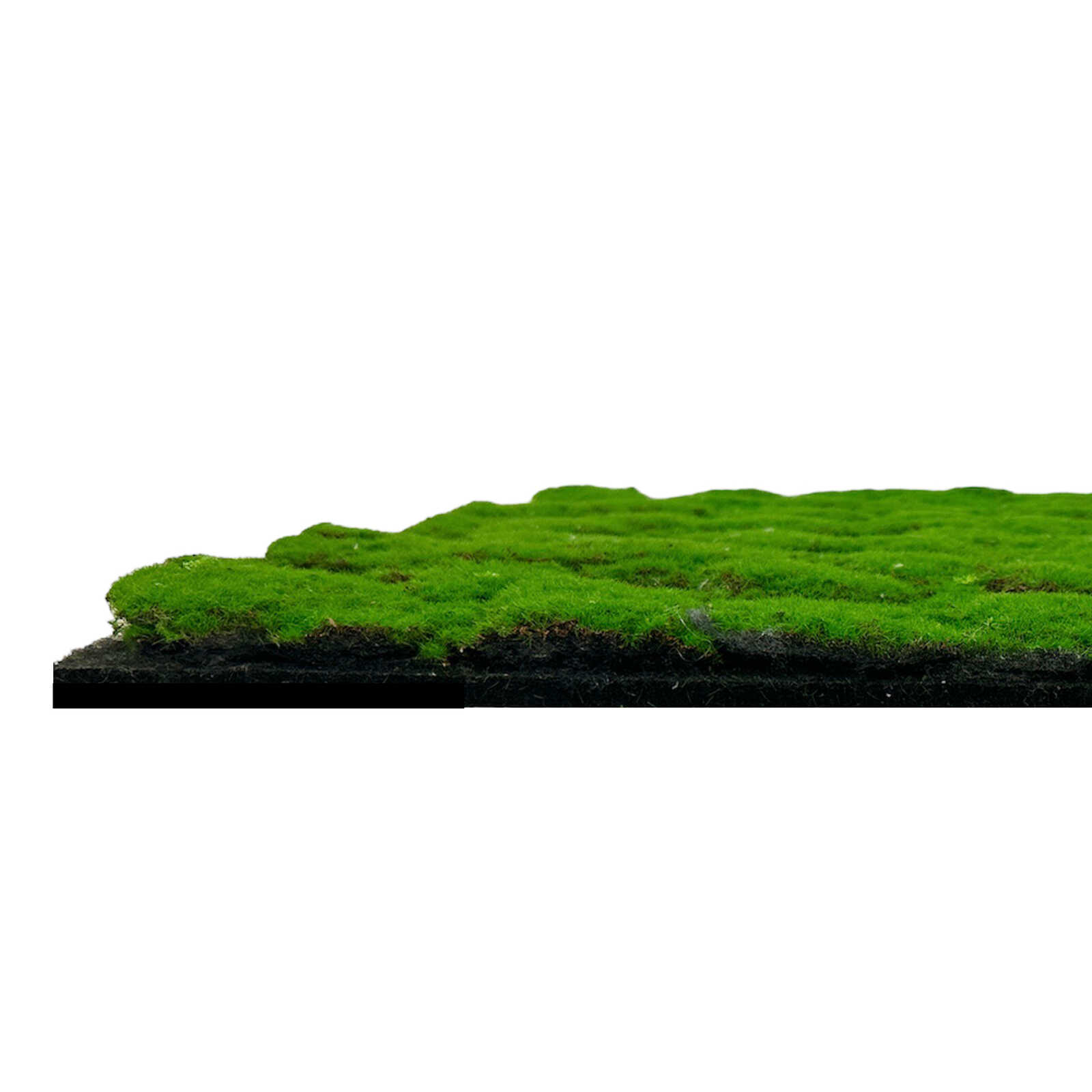 Rasenmatte, Kunstgras, Grasboden, Grasfläche, Mikrorasen