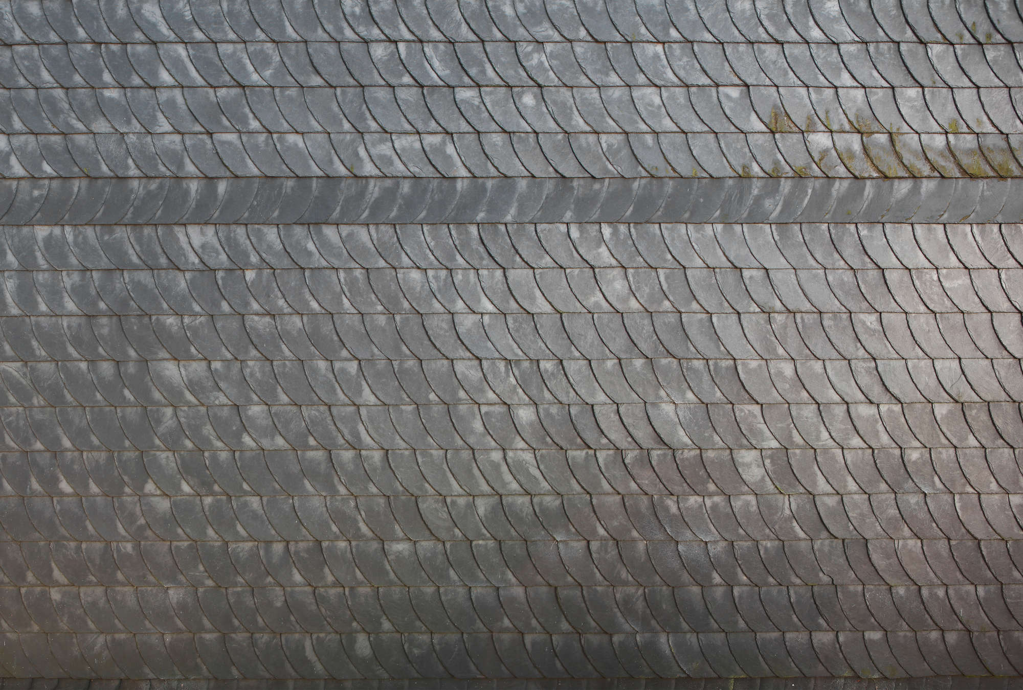             Architects Paper Fototapete AP Digital 3
        