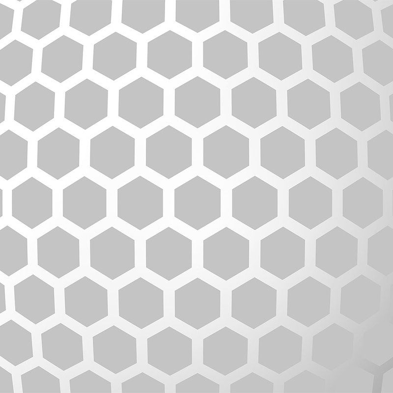         Fototapete im Hexagon Design – 3D Vliestapete mit futuristischer Wabenstruktur – Grau, Weiß
    